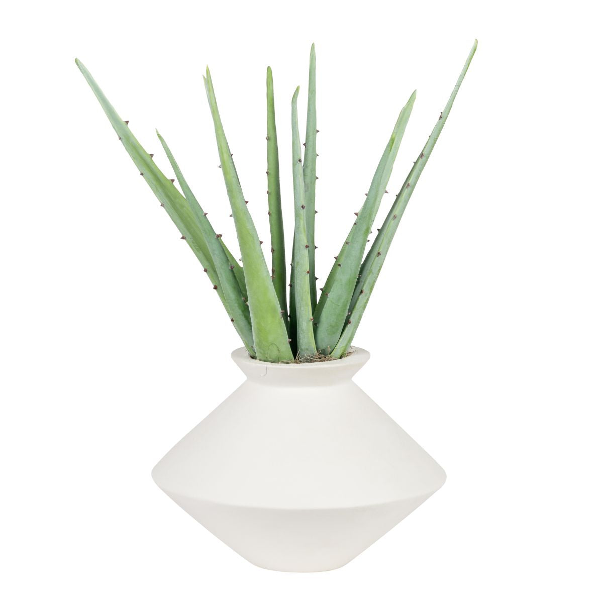 Stanley Vase with Aloes AR1848