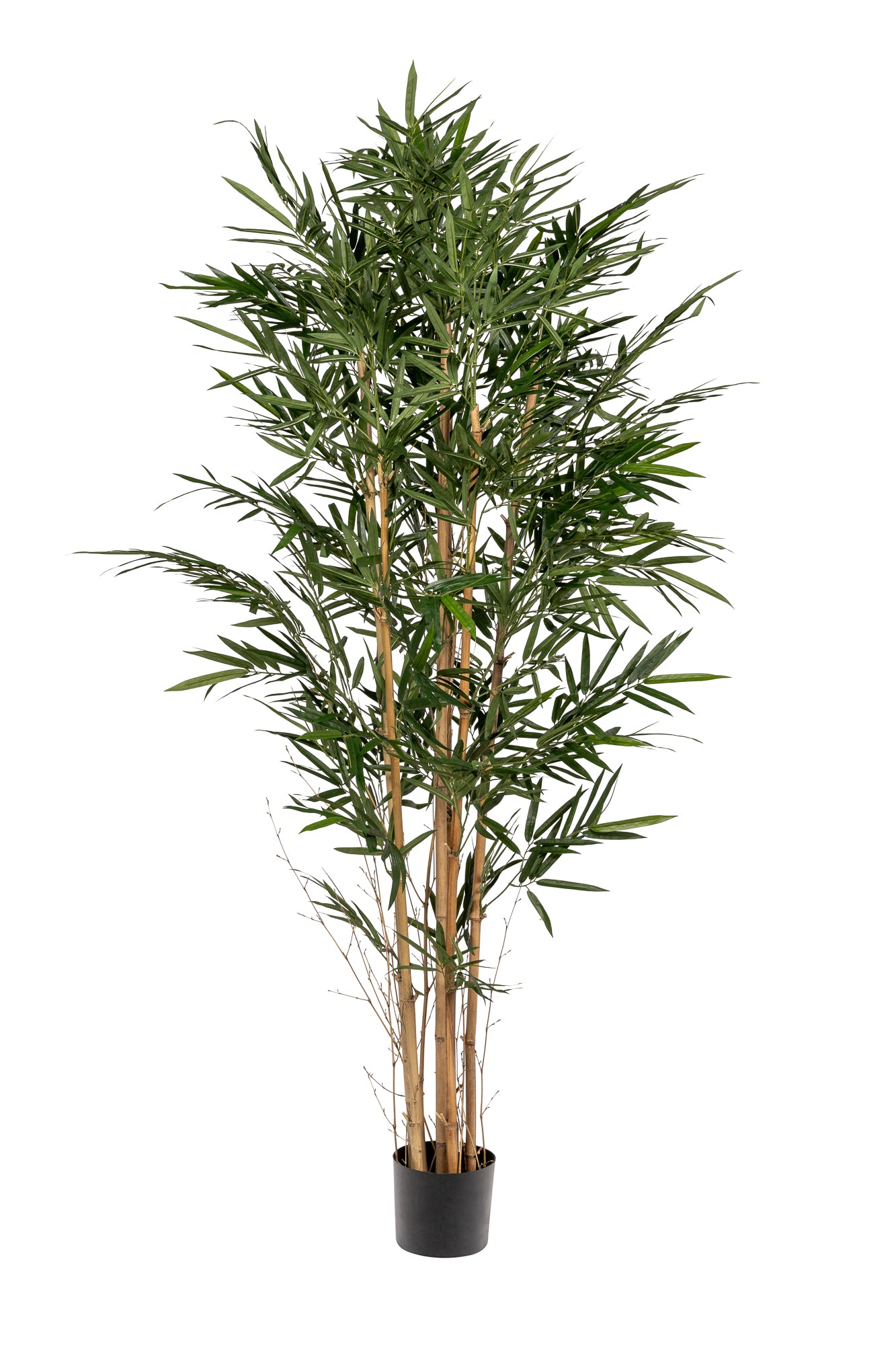 6' Bamboo Tree-UV Protected FP1292