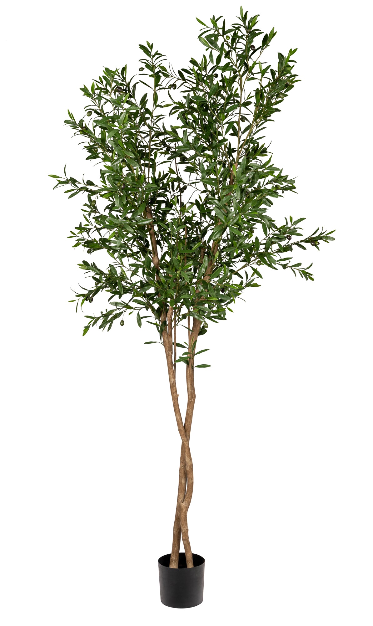 8' Olive Tree-UV Protected FP1295