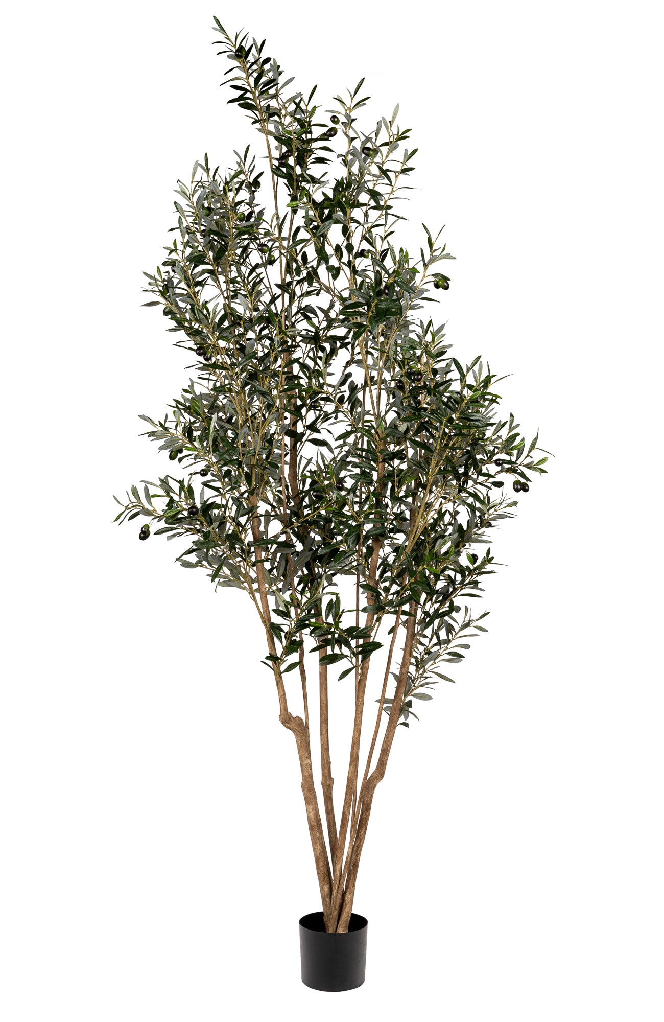 7’ Olive Tree- UV Protected FP1298