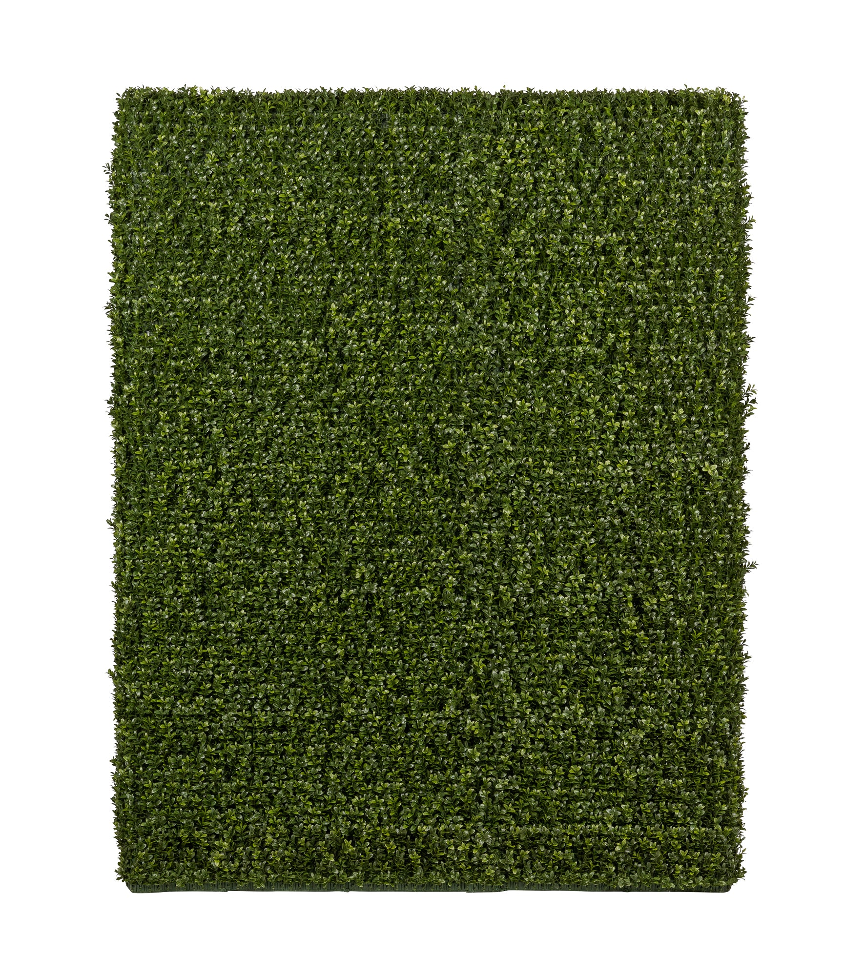 5.5' Grass Hedge- UV Protected FP1304