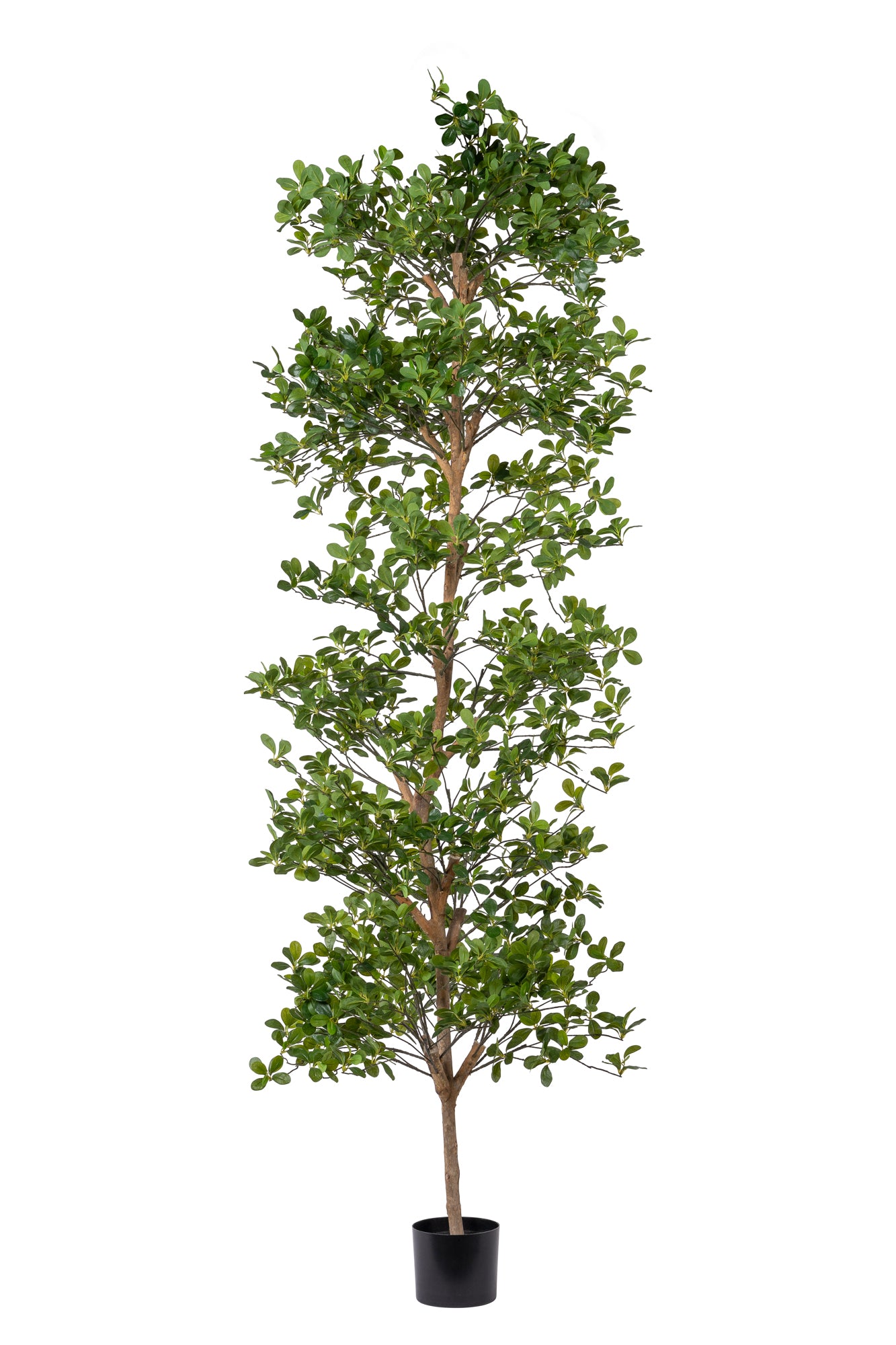 8' Full Shady Lady Tree FP1240