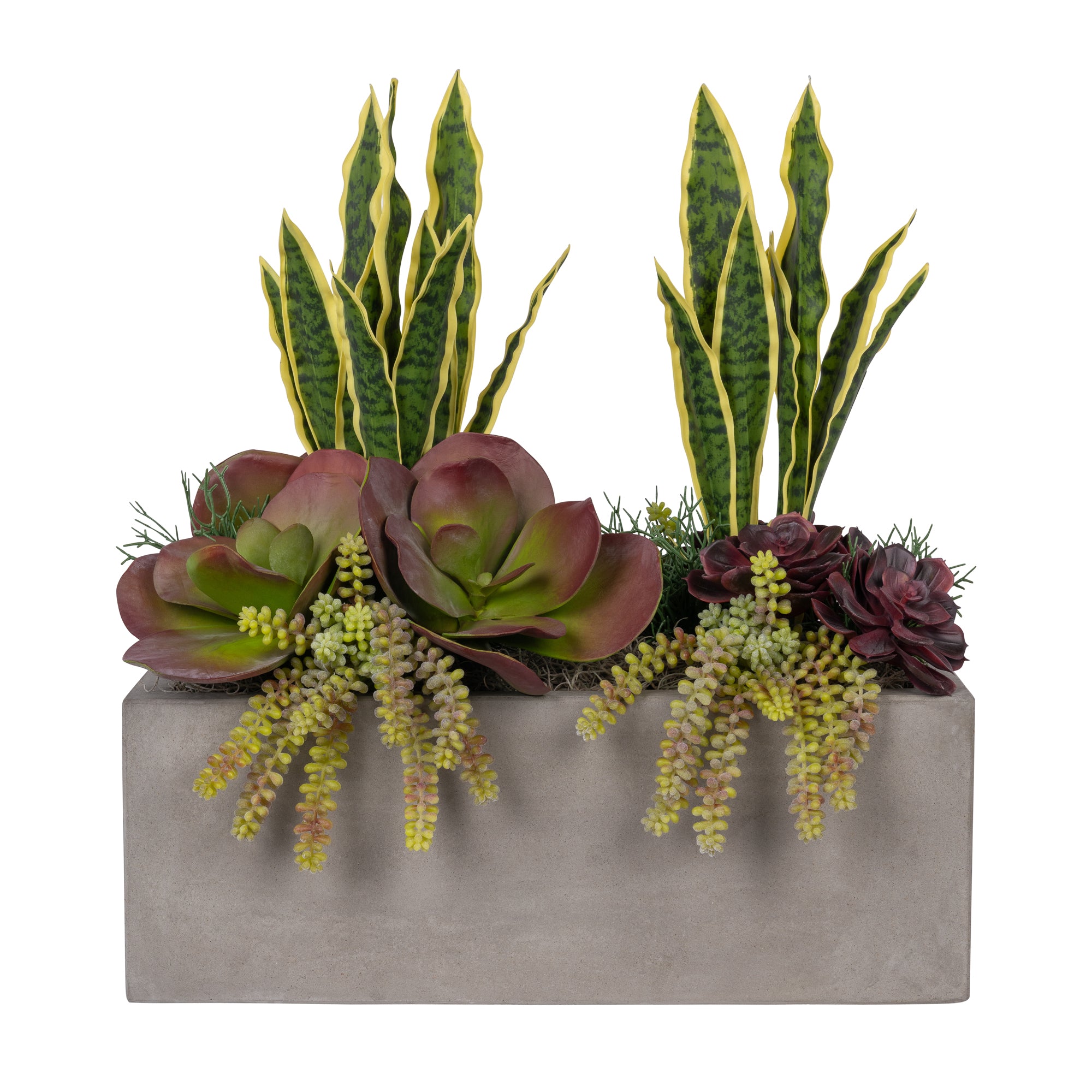 22" Balboa Concrete Planter with Succulent Arrangement AR1069