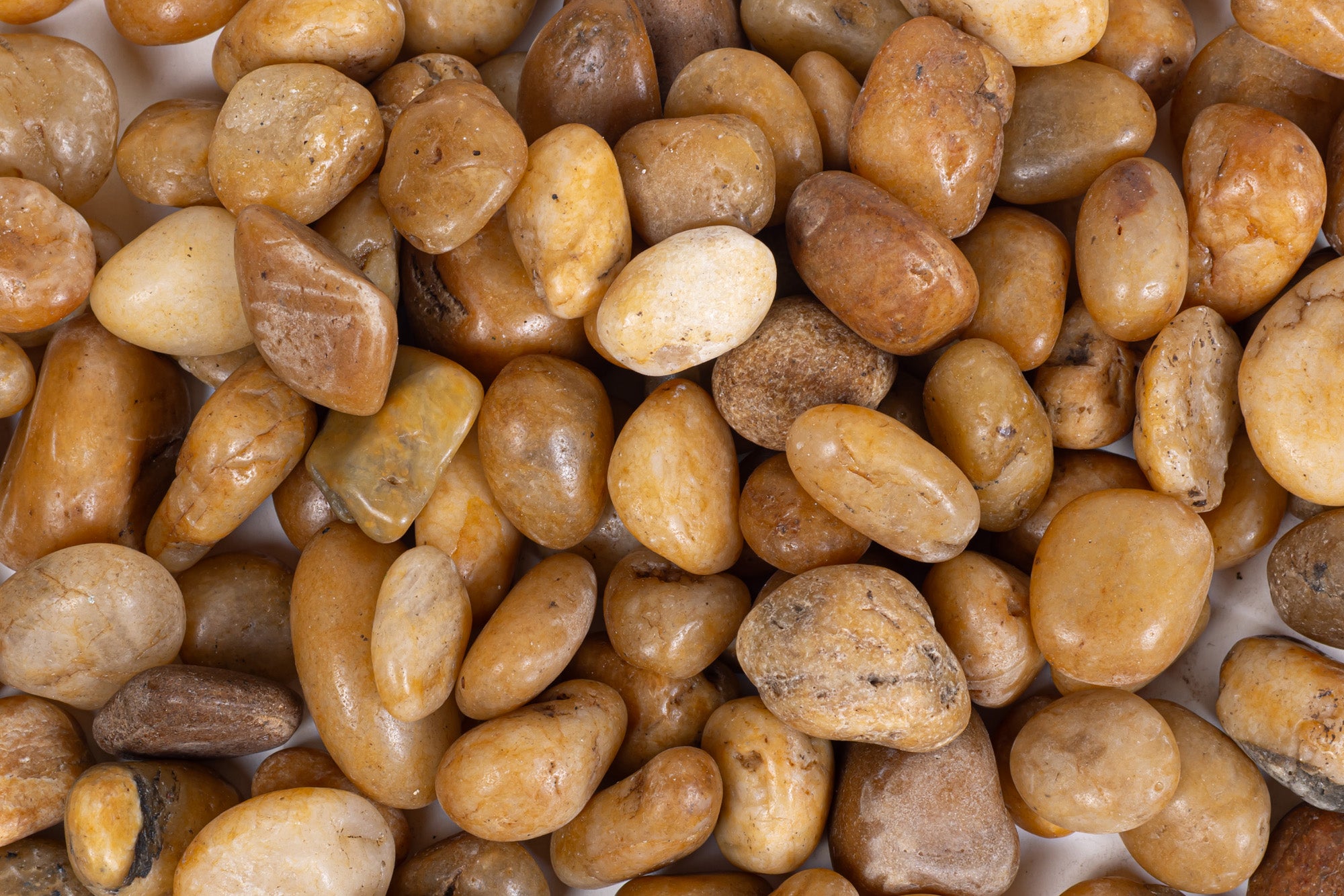 1 Pound of Gold Rock FA1013