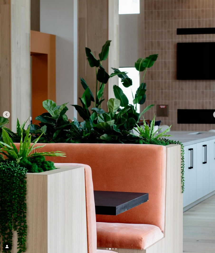 26" Potted Fiddle Leaf Fig Tree PP1029