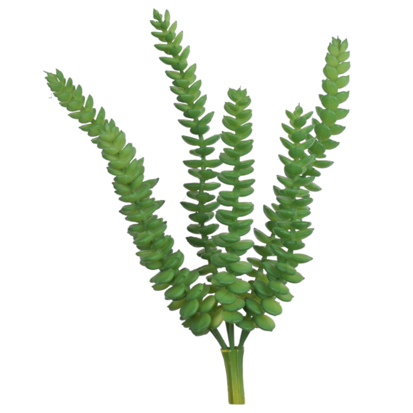 9" Green Money String SE1006