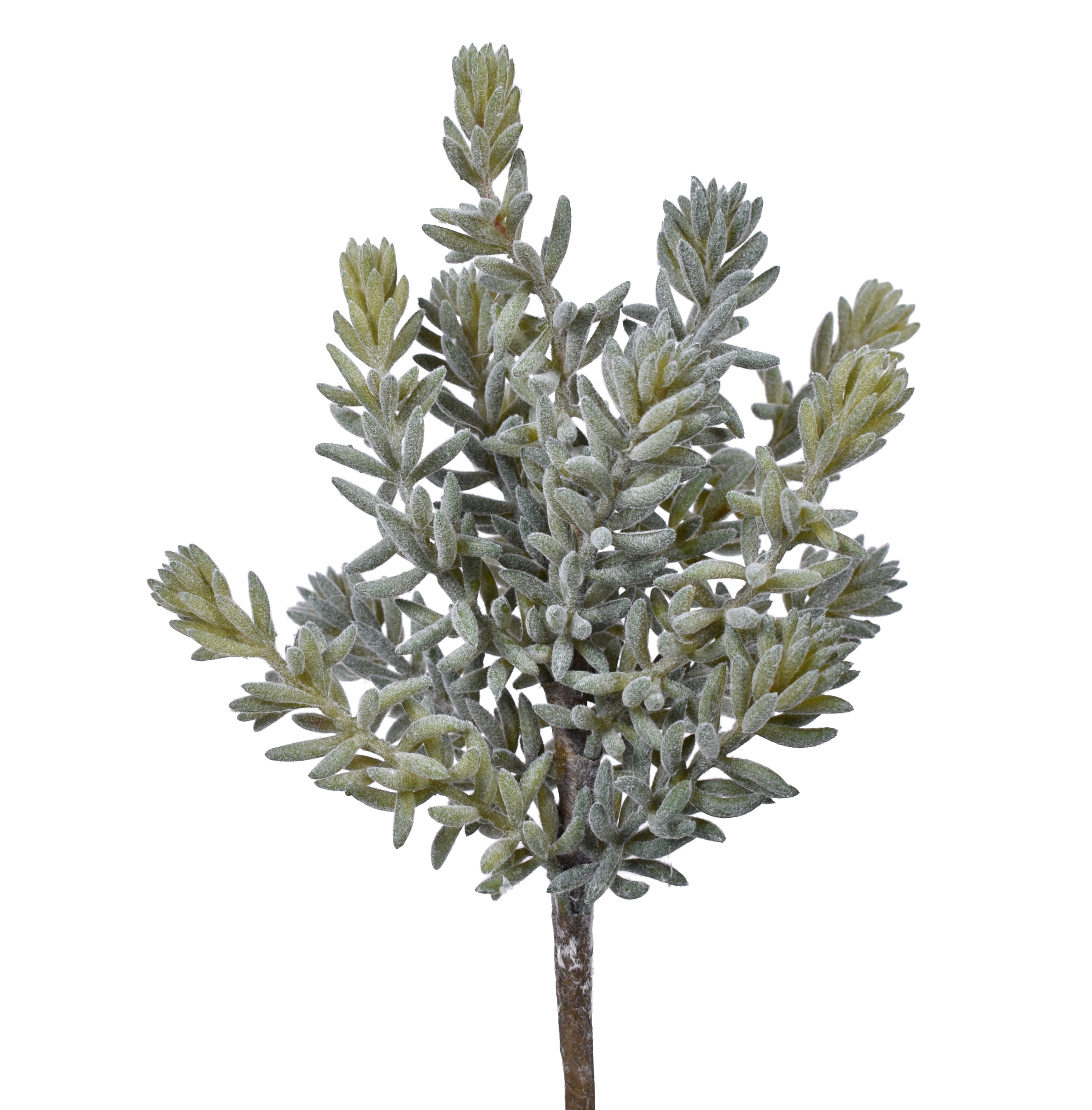 11" UV Protected Sedum Pick SE1030UV