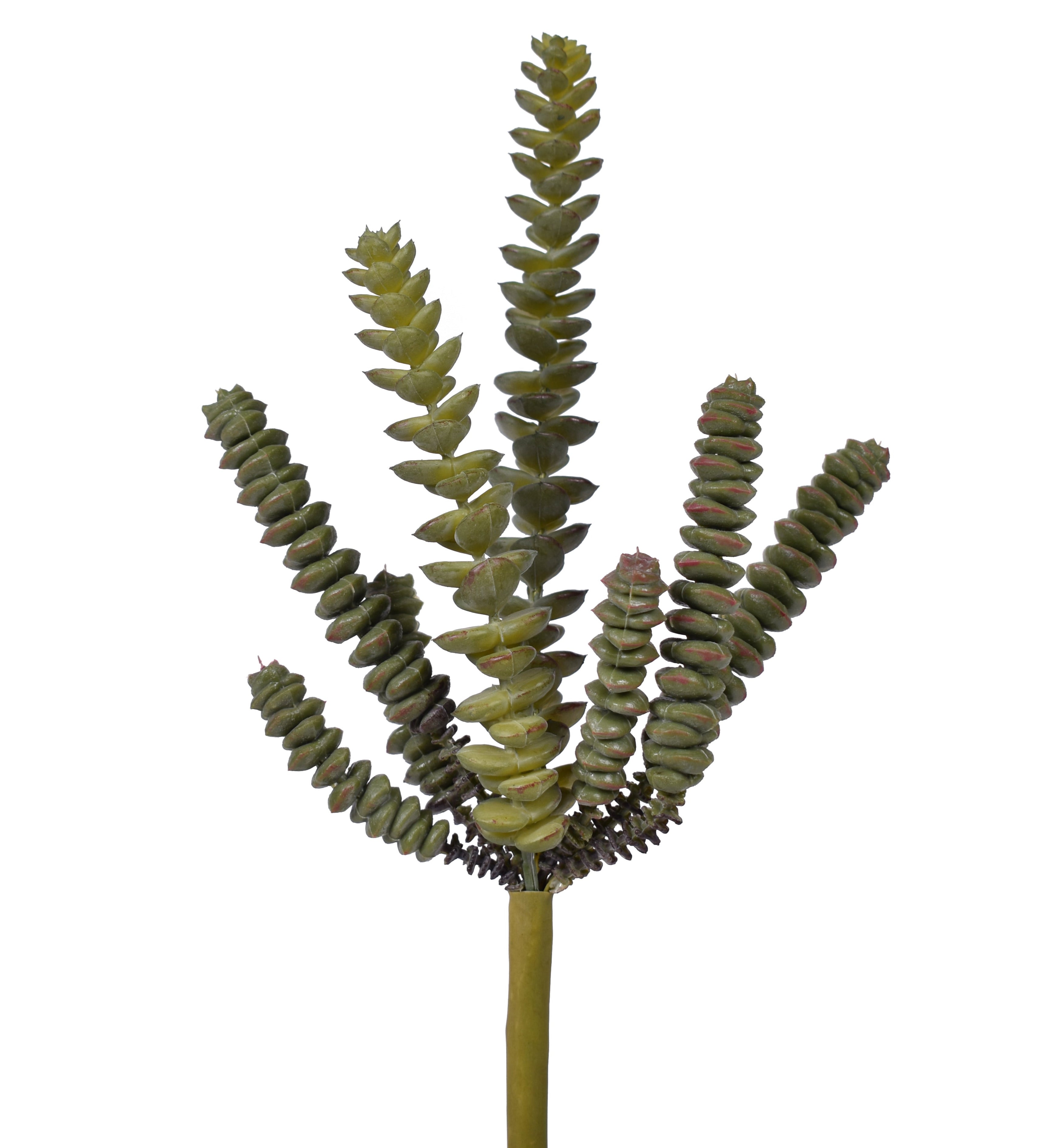 11" UV Protected Sedum Pick SE1032UV