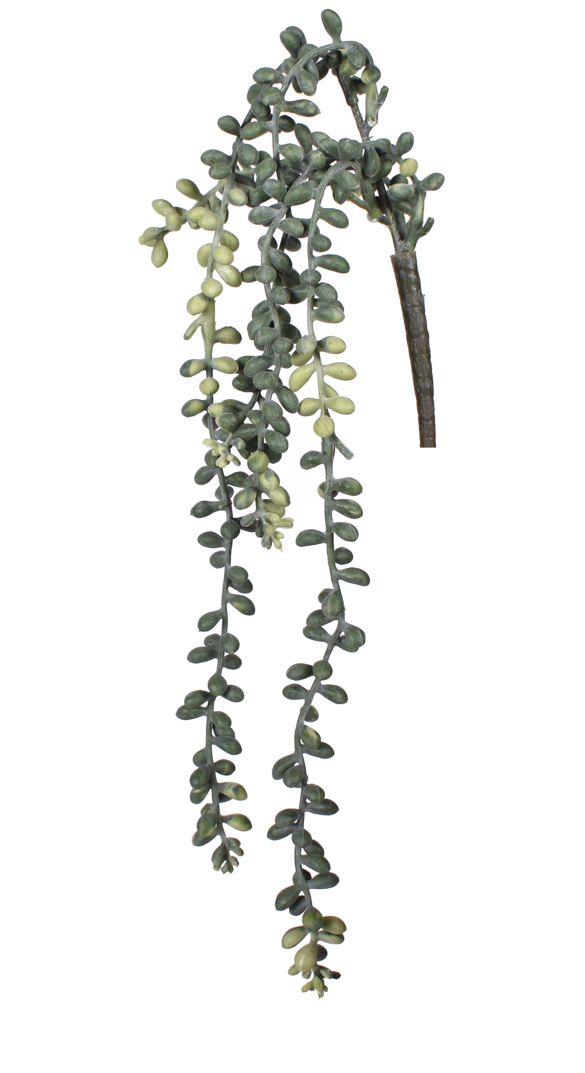 18" Hanging Sedum Pick- UV Protected SE1037UV