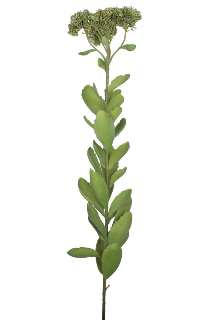 30" Sedum Stem- UV Protected SE1040UV