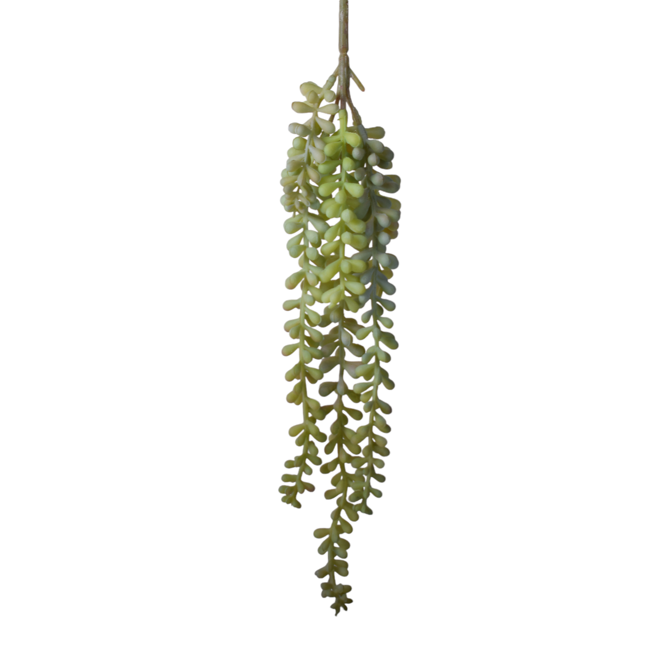 13” Grey Sedum SE1041