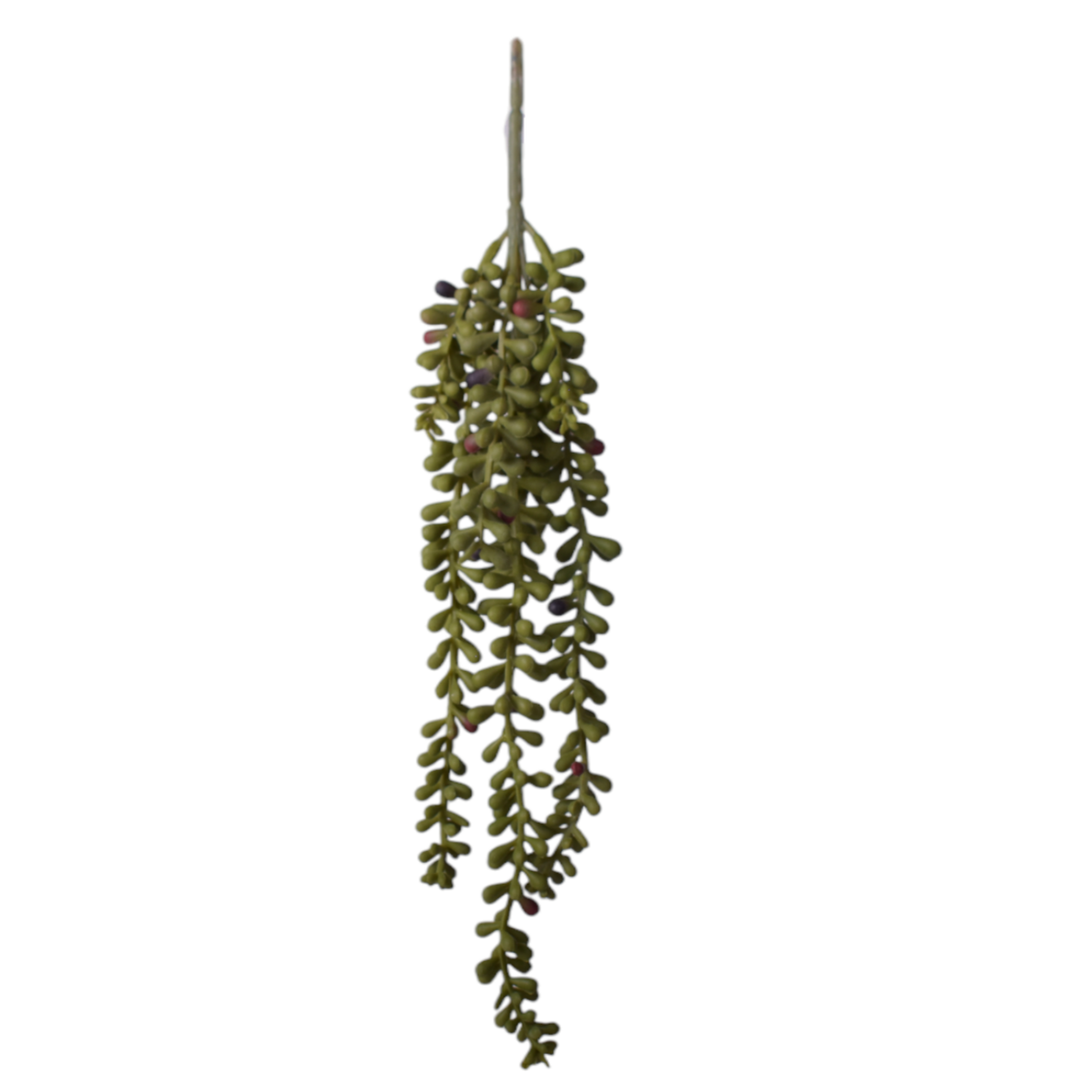 13” Sedum SE1042