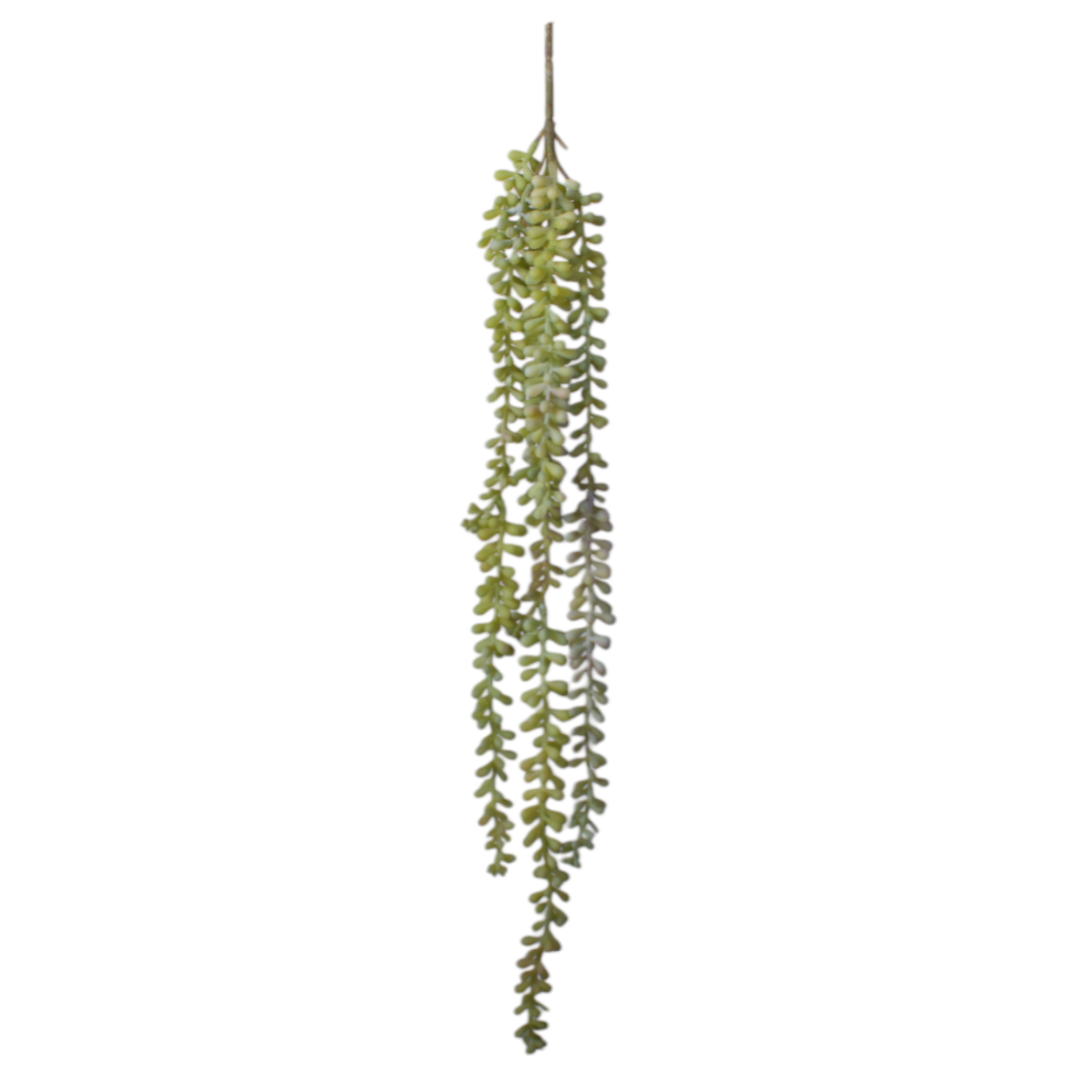 21” Grey Sedum SE1043