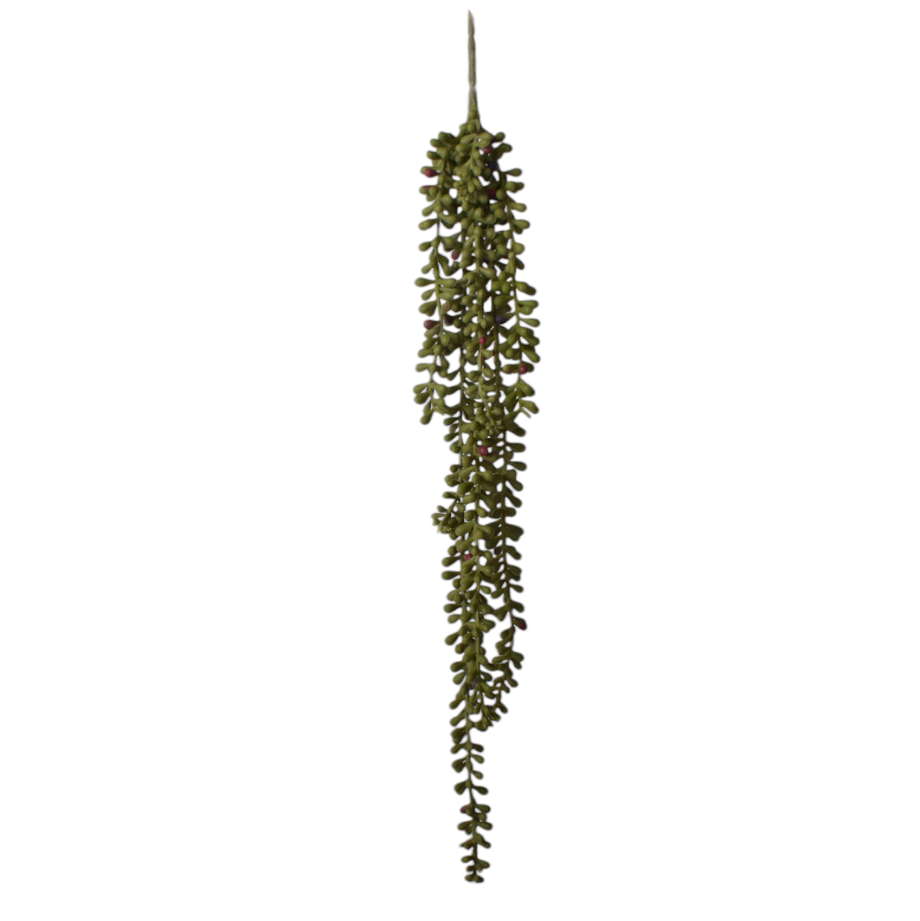 21” Sedum Stem SE1044