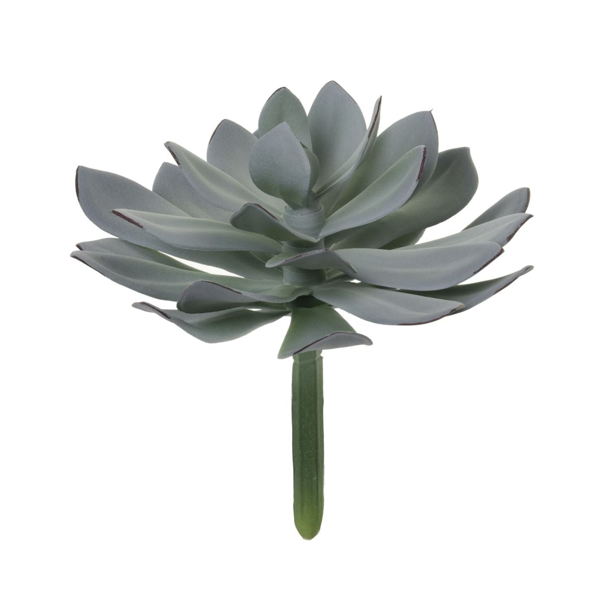 9.5" Succulent SF1064