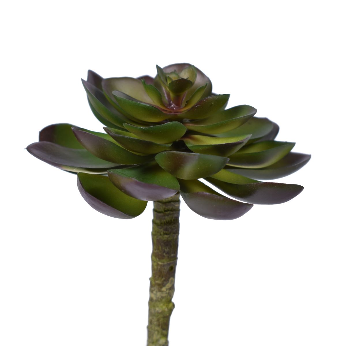 6" UV Protected Houseleek Pick SF1069UV