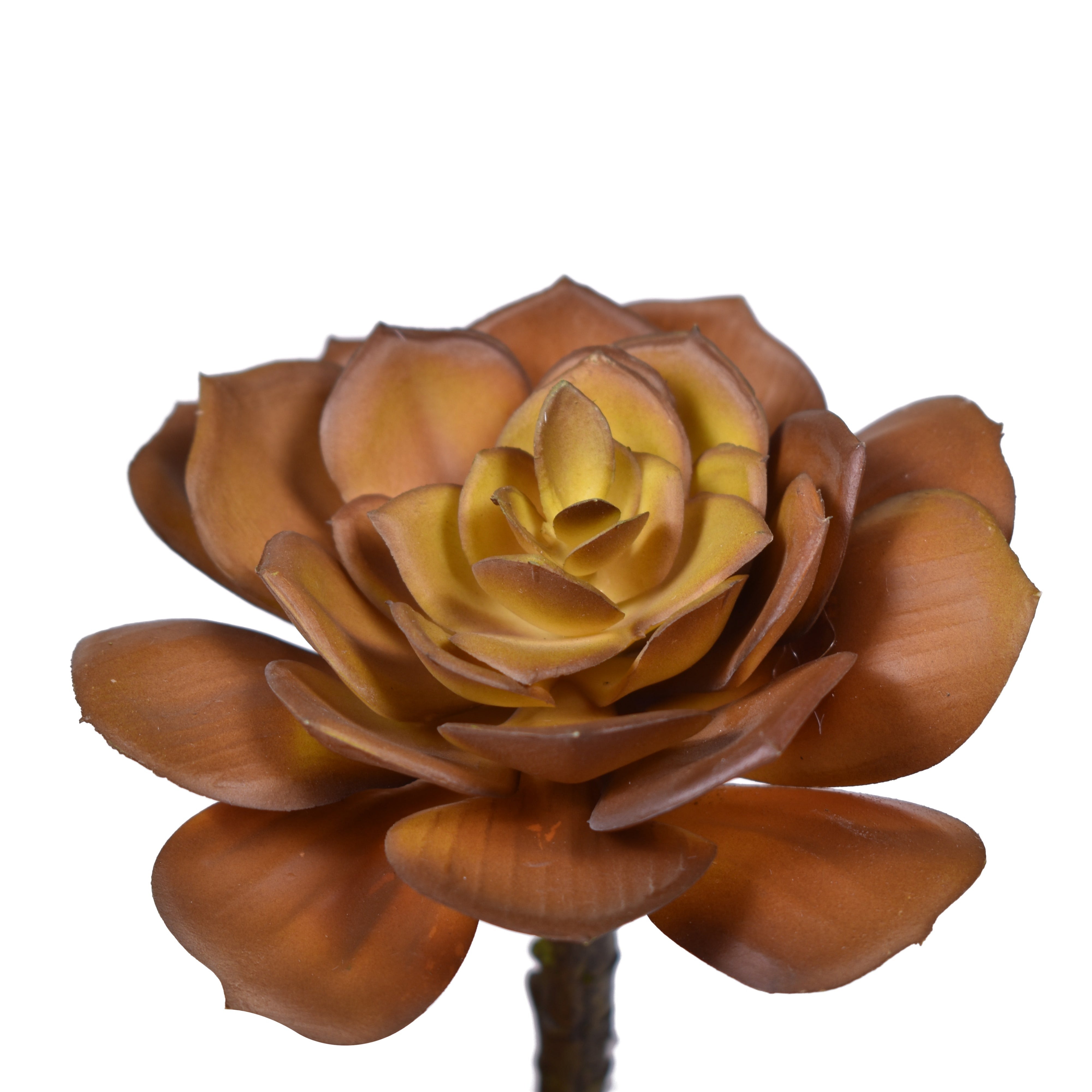 5" UV Protected Succulent Pick SF1070UV