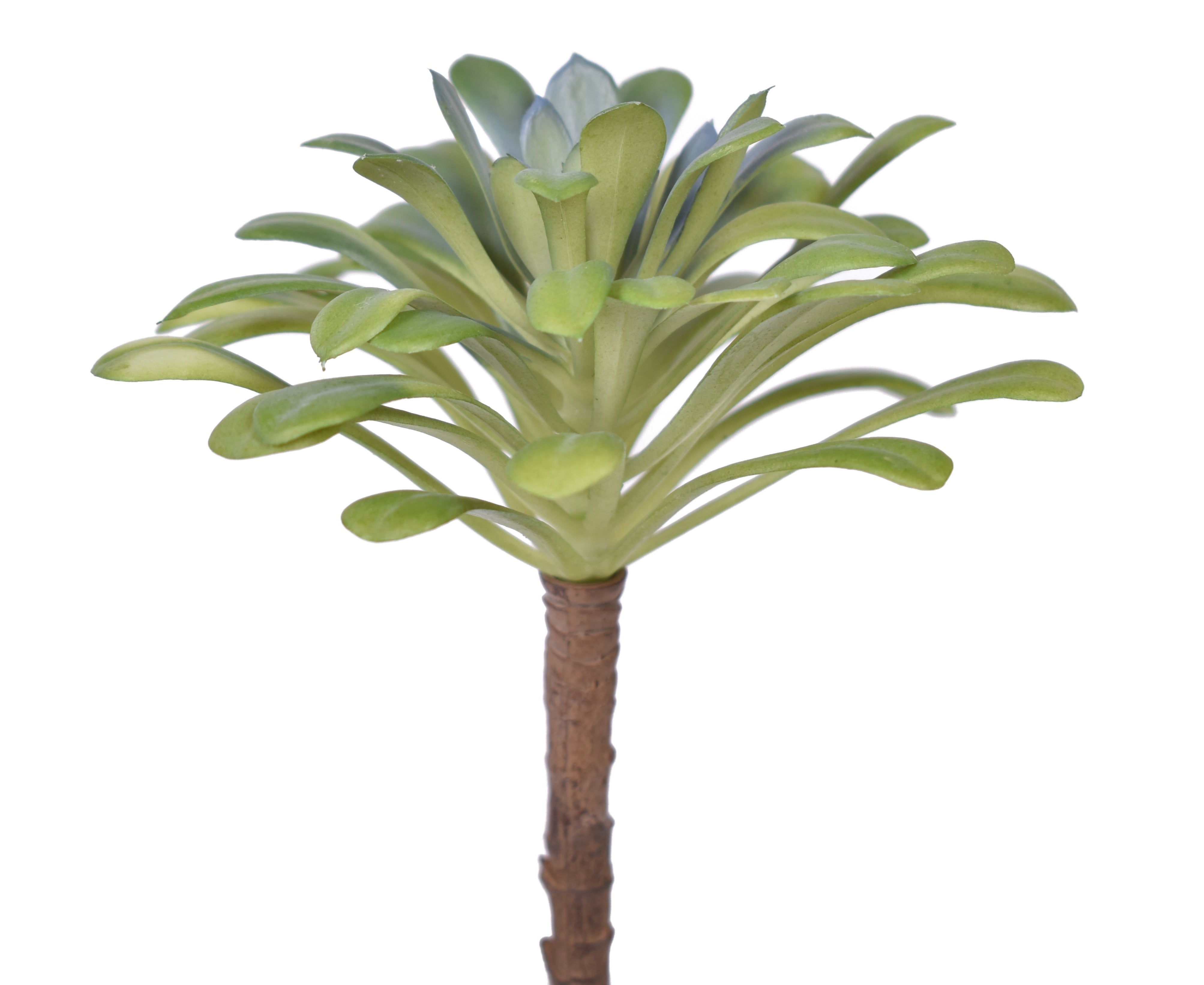 6" UV Protected Succulent Pick SF1072UV