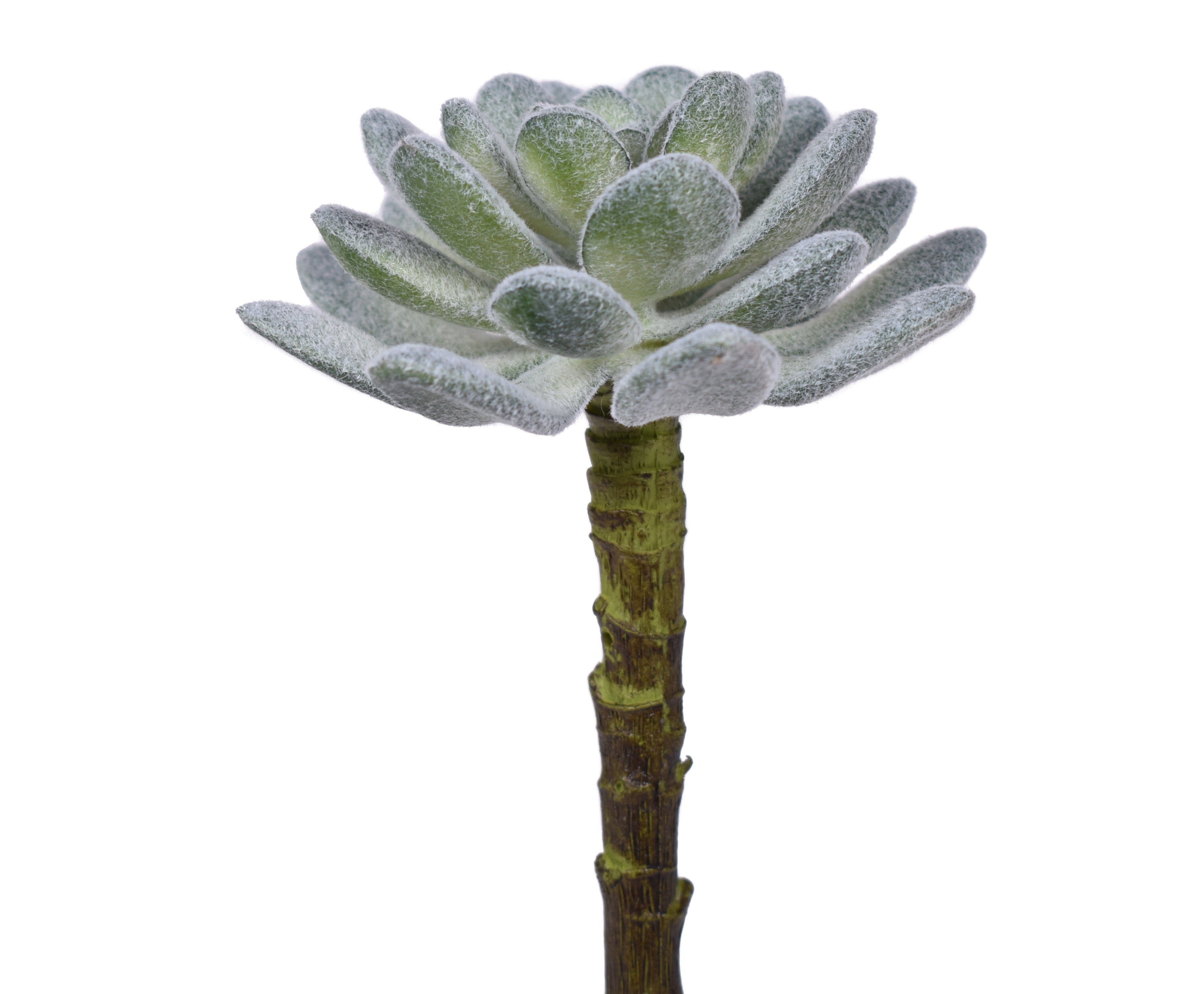 5" UV Protected Houseleek Pick SF1076UV