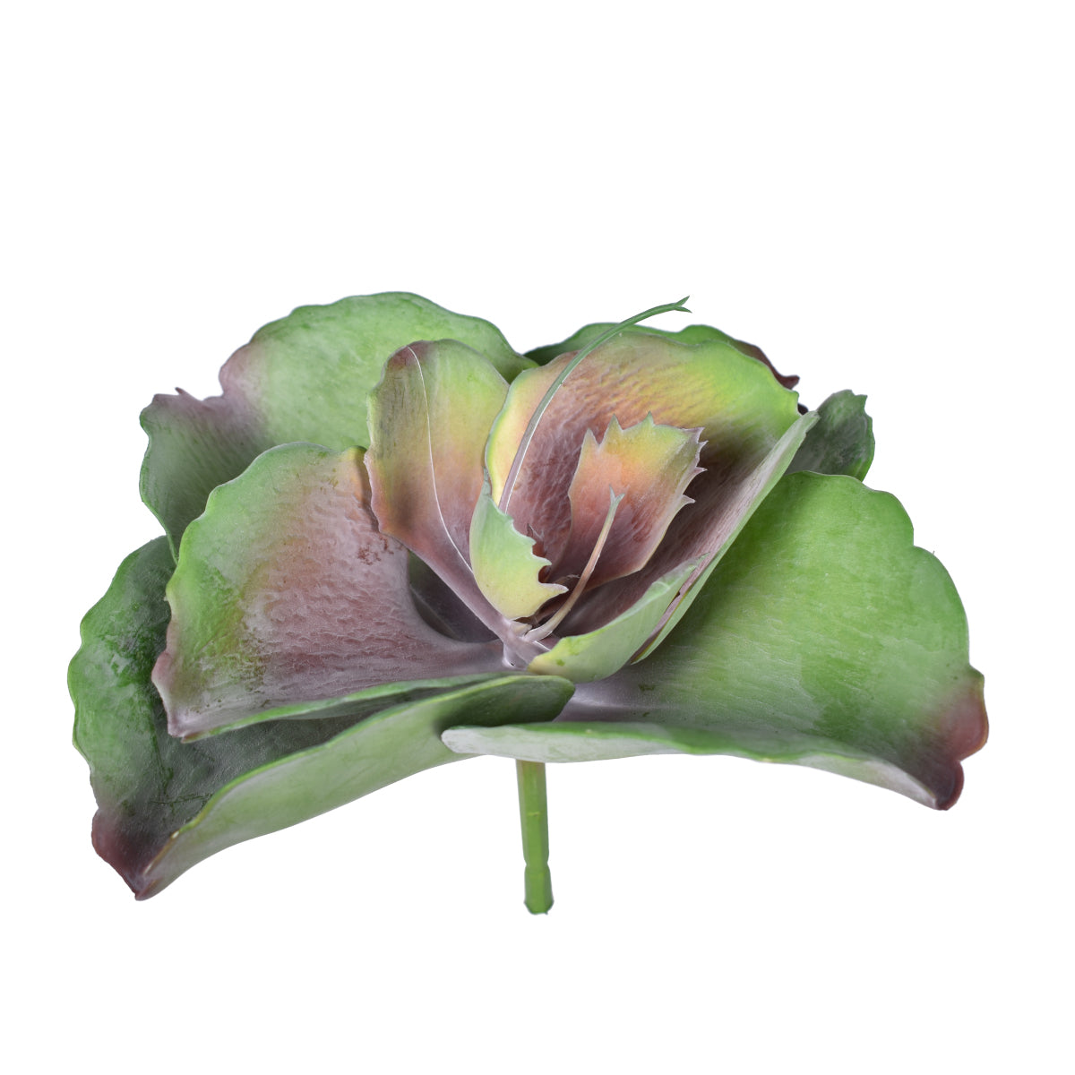 8.5" UV Protected Succulent Pick SF1100UV