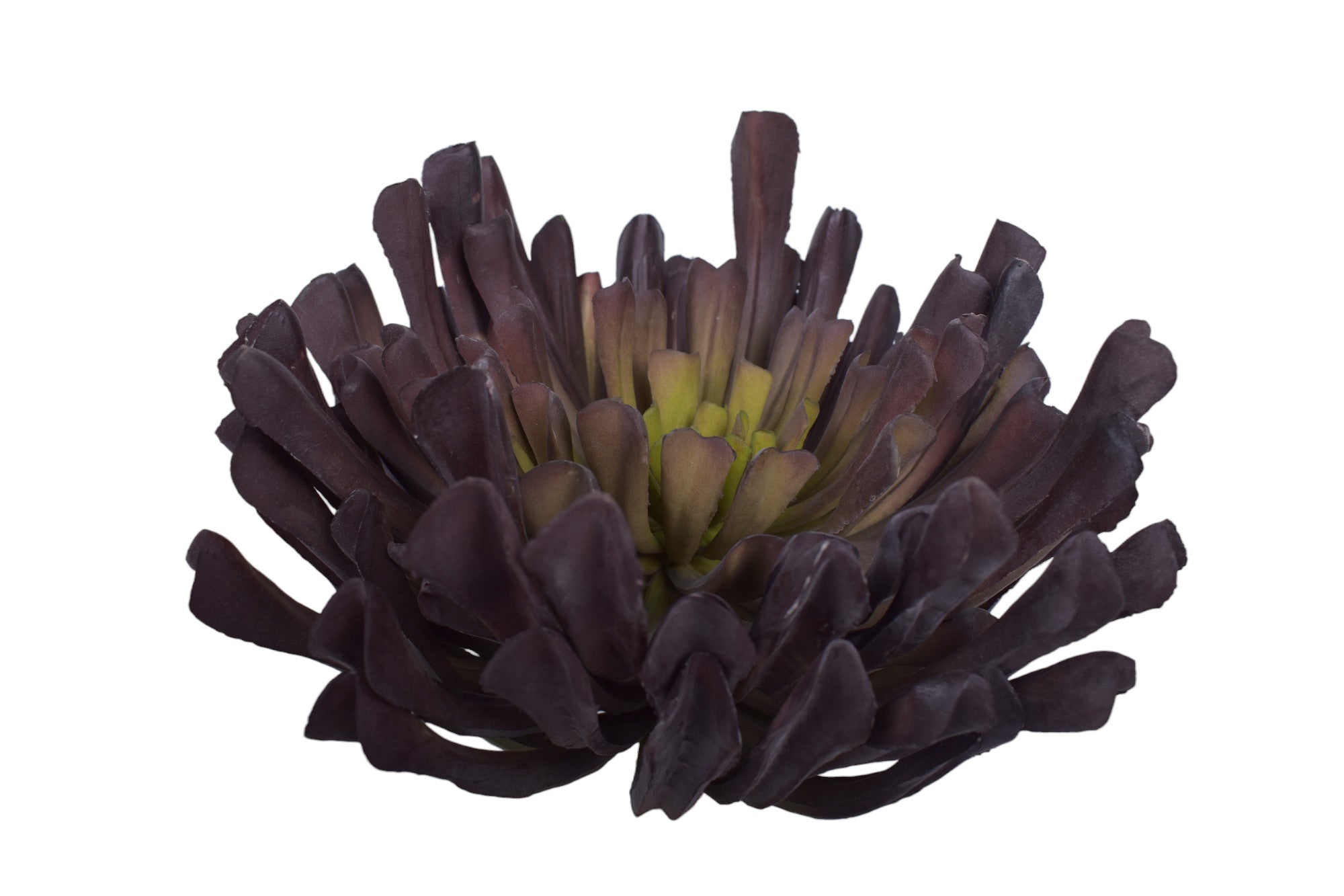 11" UV Protected Succulent SF1107UV