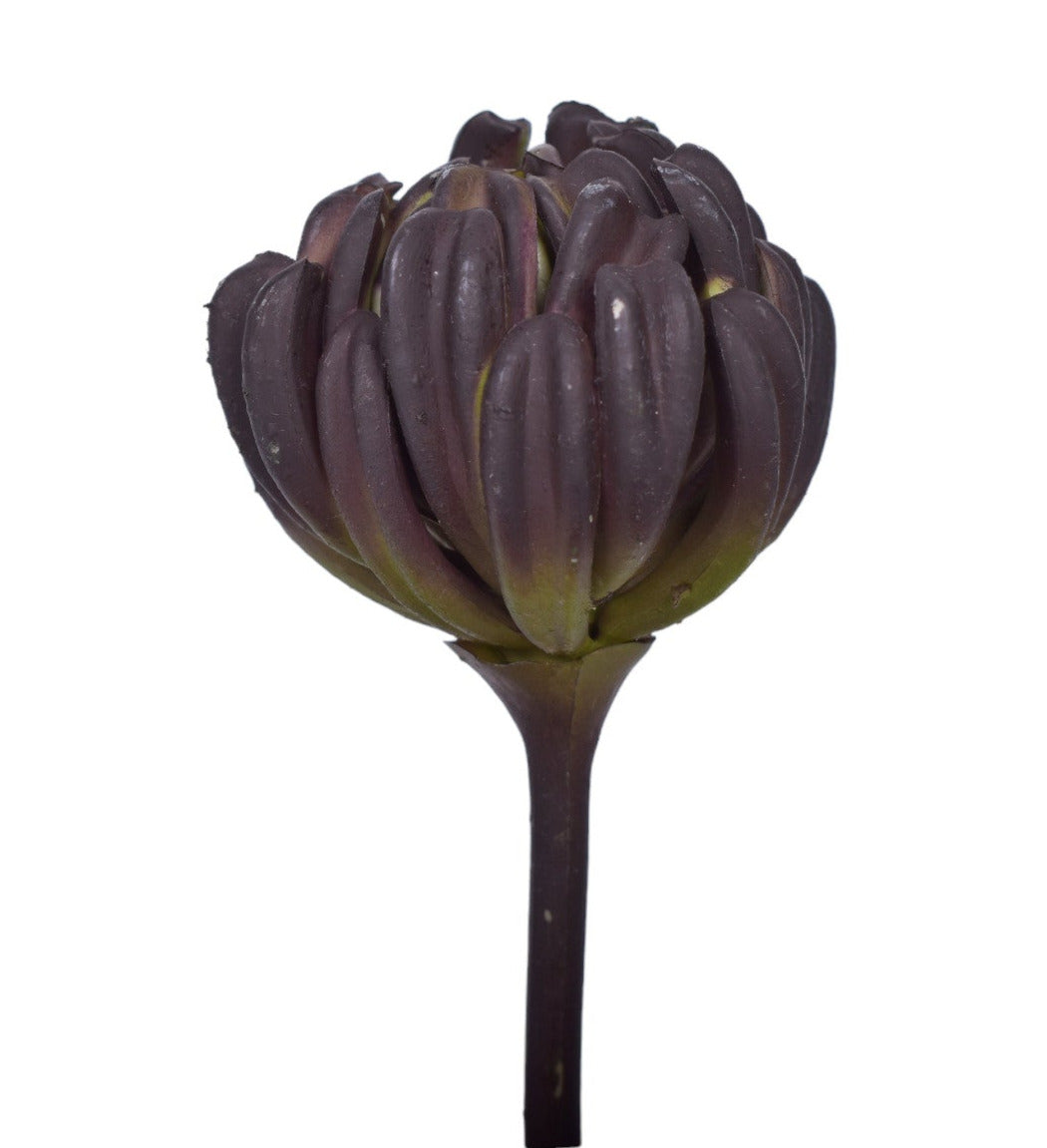 6" UV Protected Succulent SF1108UV