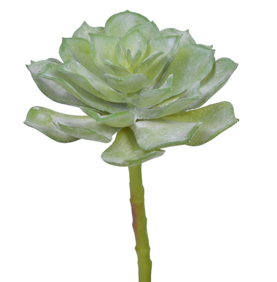 9" Succulent Flower- UV Protected SF1111UV