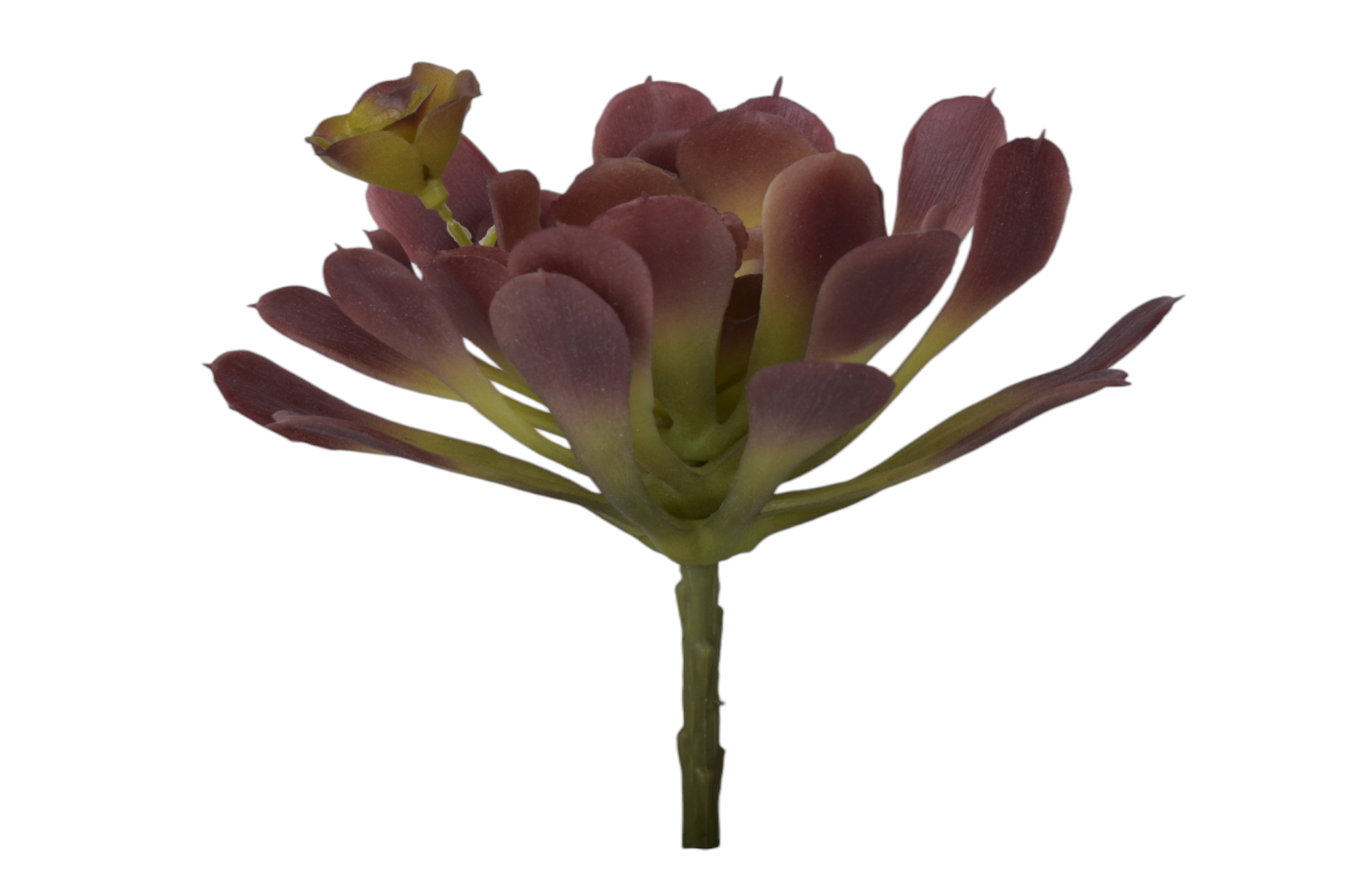 9” Coffee/Green Succulent Stem   SF1117