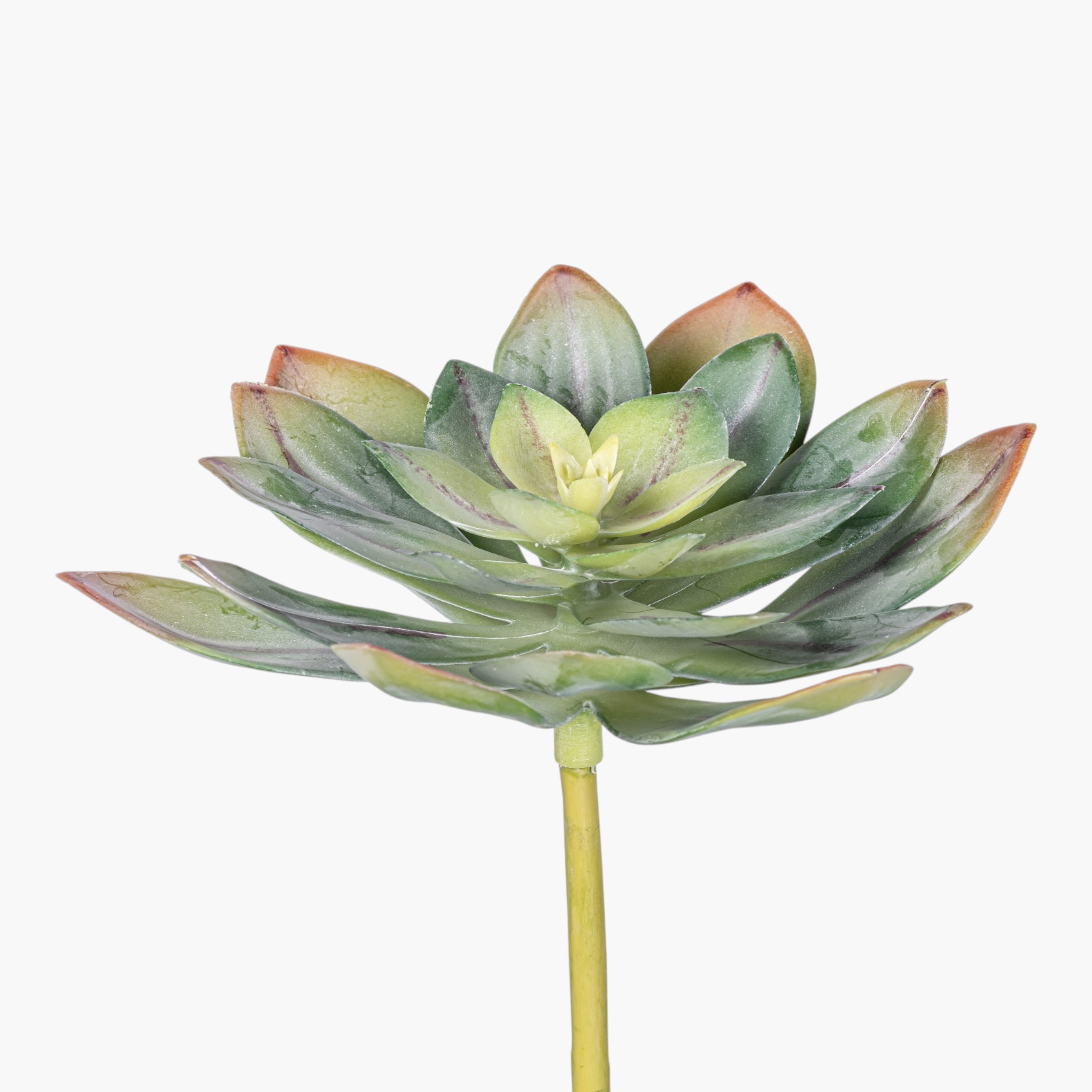 7" Succulent Stem SF1135