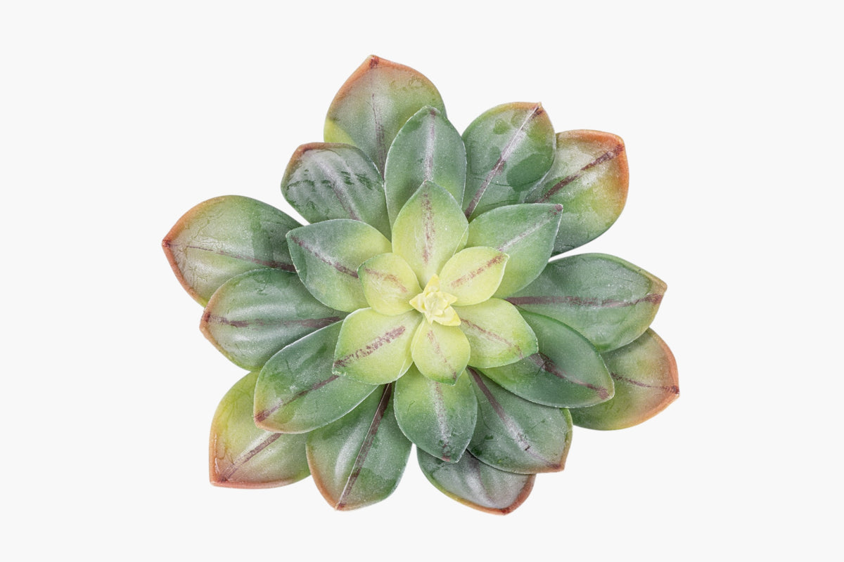7" Succulent Stem SF1135