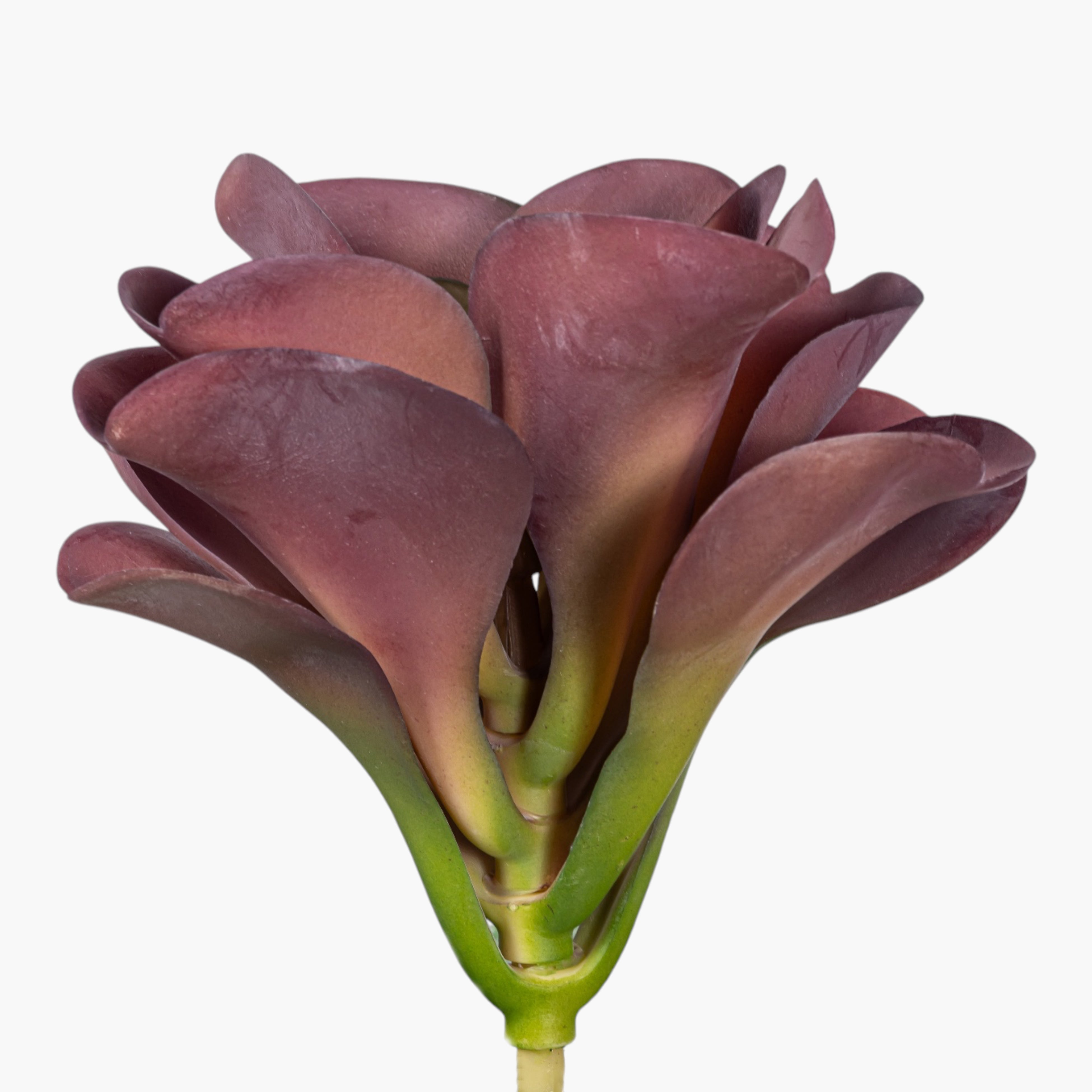 8" Succulent Stem SF1136