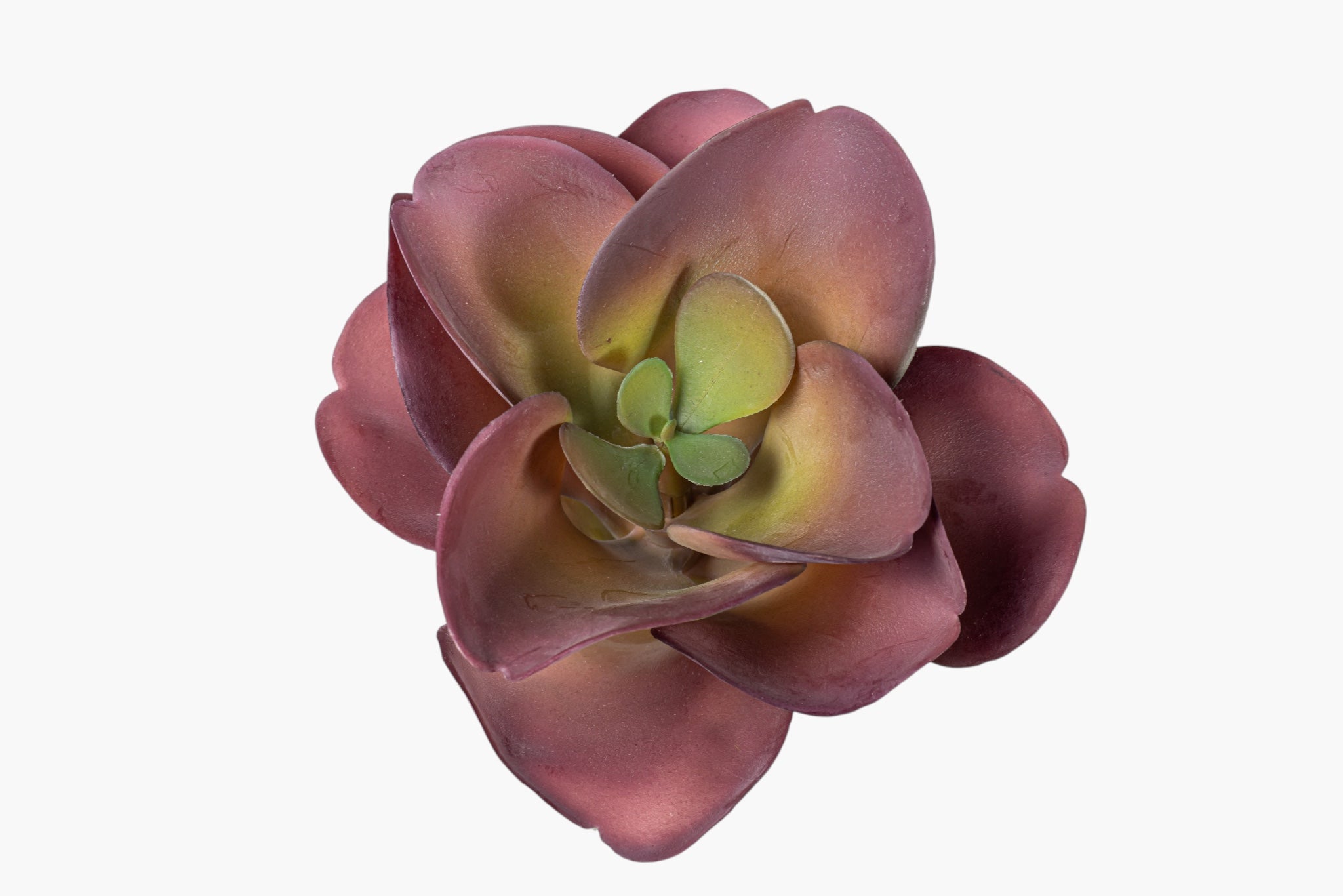 8" Succulent Stem SF1136