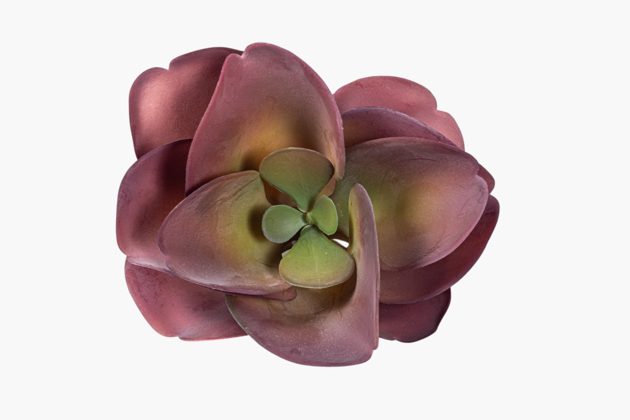 8" Succulent Stem SF1136