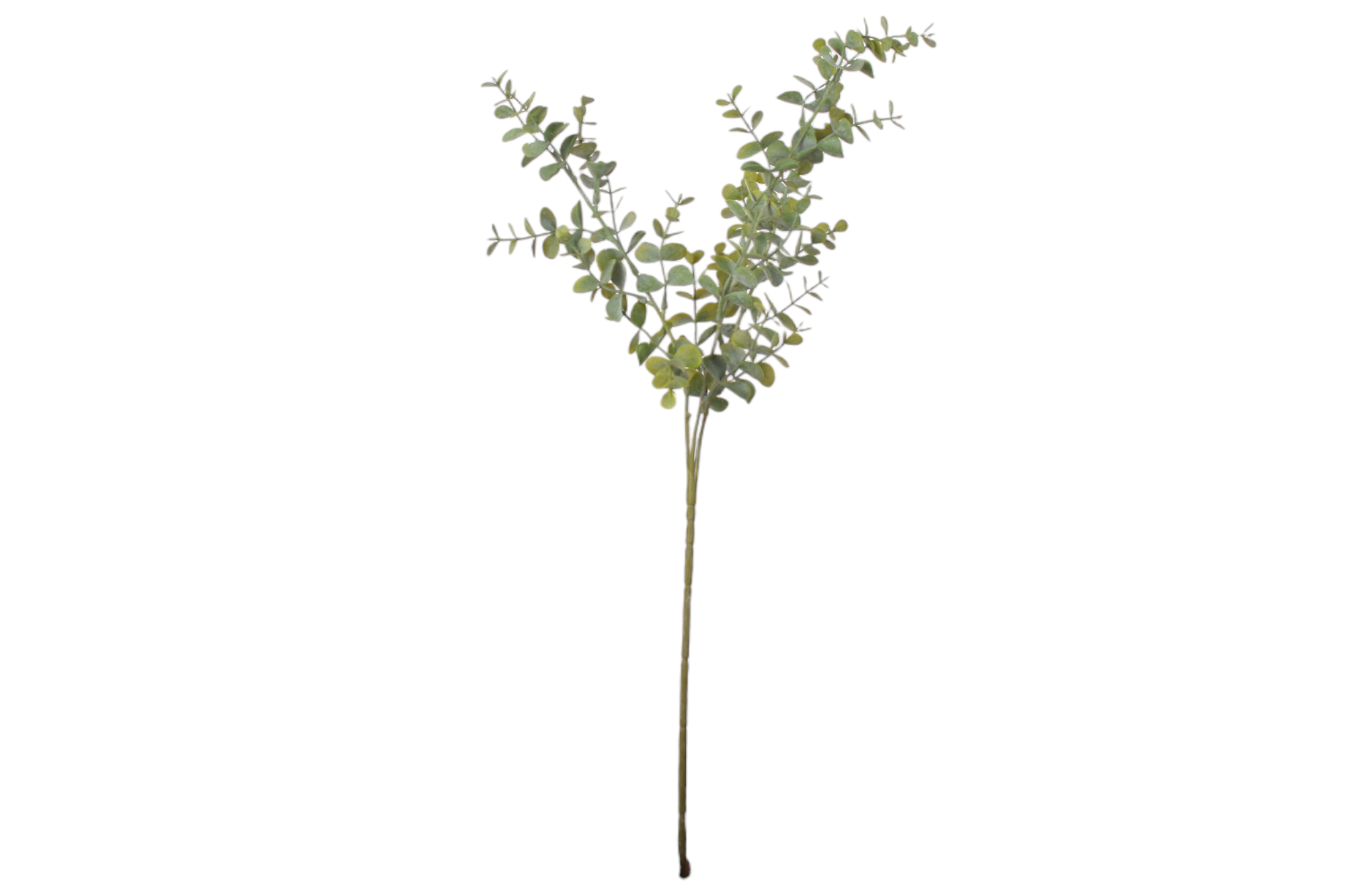 25" Eucalyptus Branch- Gray/Green ST1052