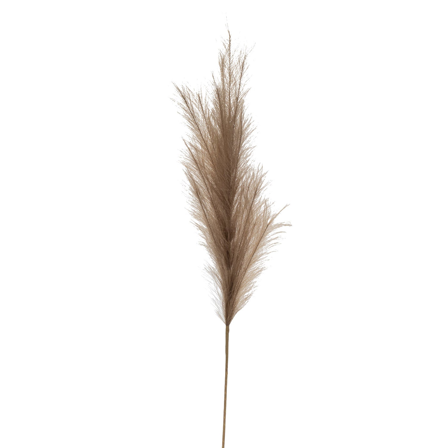 Faux Brown Pampas Grass ST1103