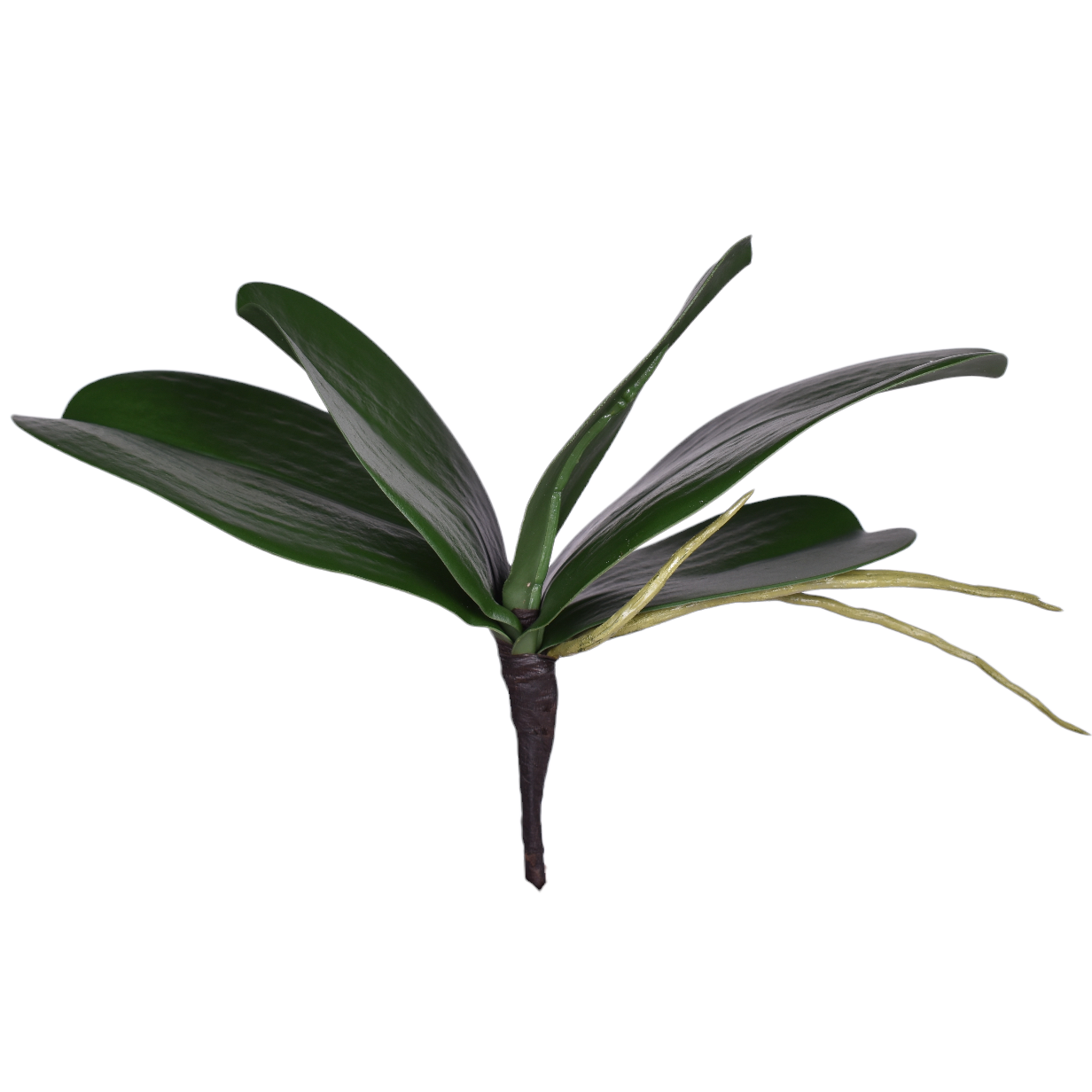 7" Orchid Leaf ST1132