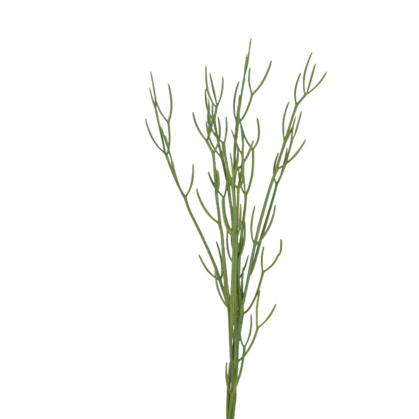 30" Pencil Cactus ST1140