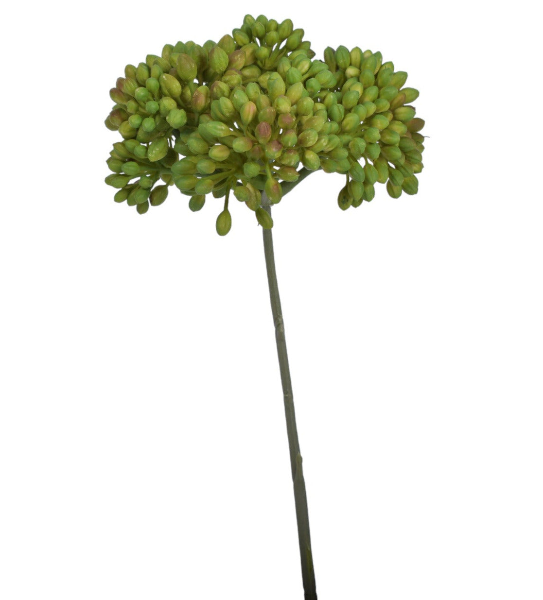 12" Berry Stem-UV Protected ST1148UV