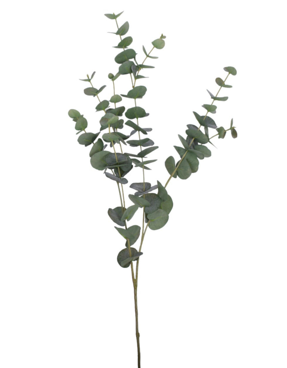40" Eucalyptus Stem- UV Treated ST1161UV
