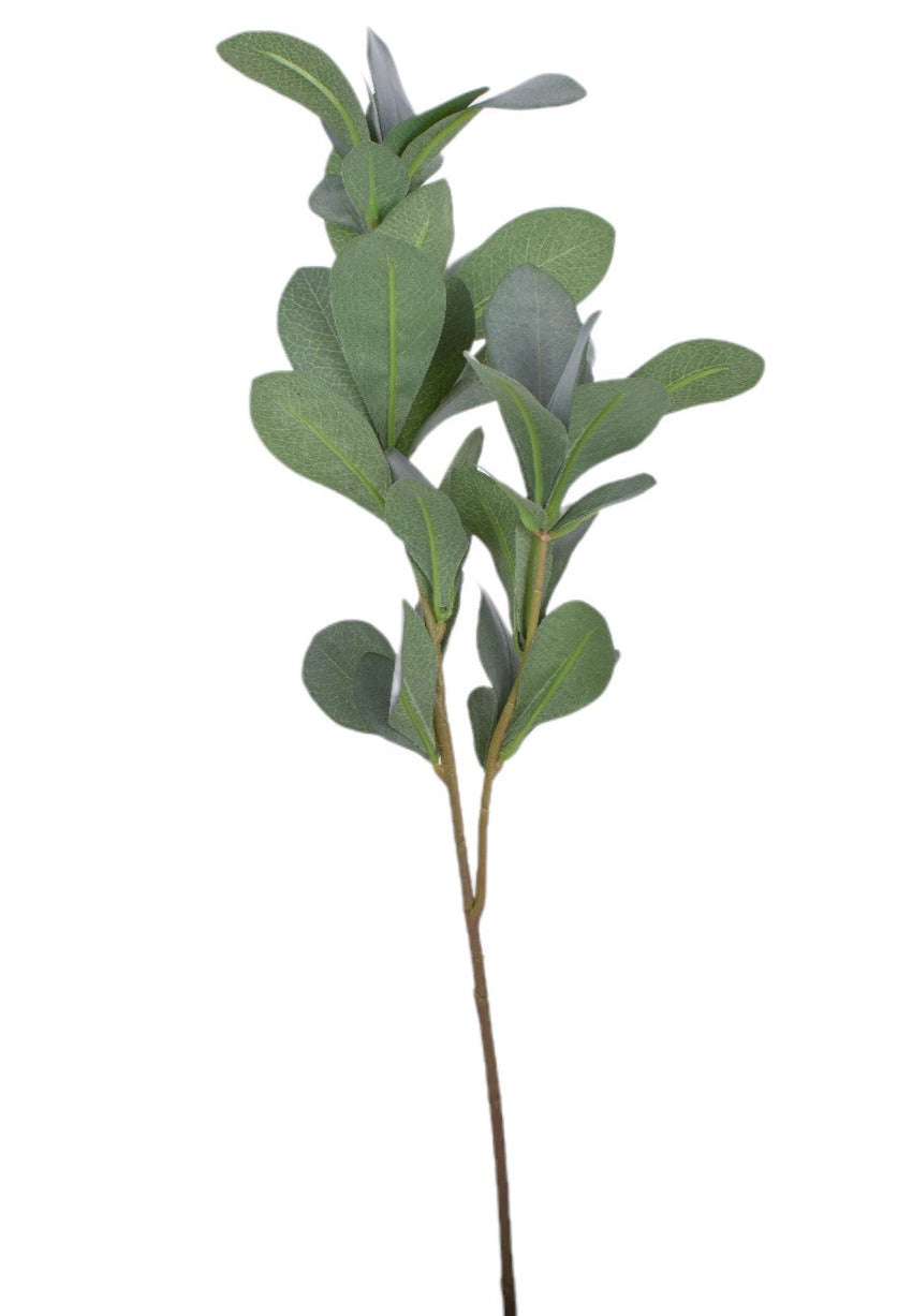 26" Pittosporum Spray-UV Treated ST1162UV