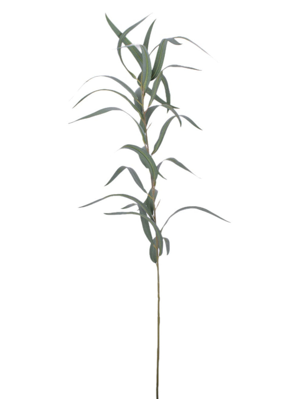 36" Long Leaf Eucalyptus-UV Protected ST1163UV