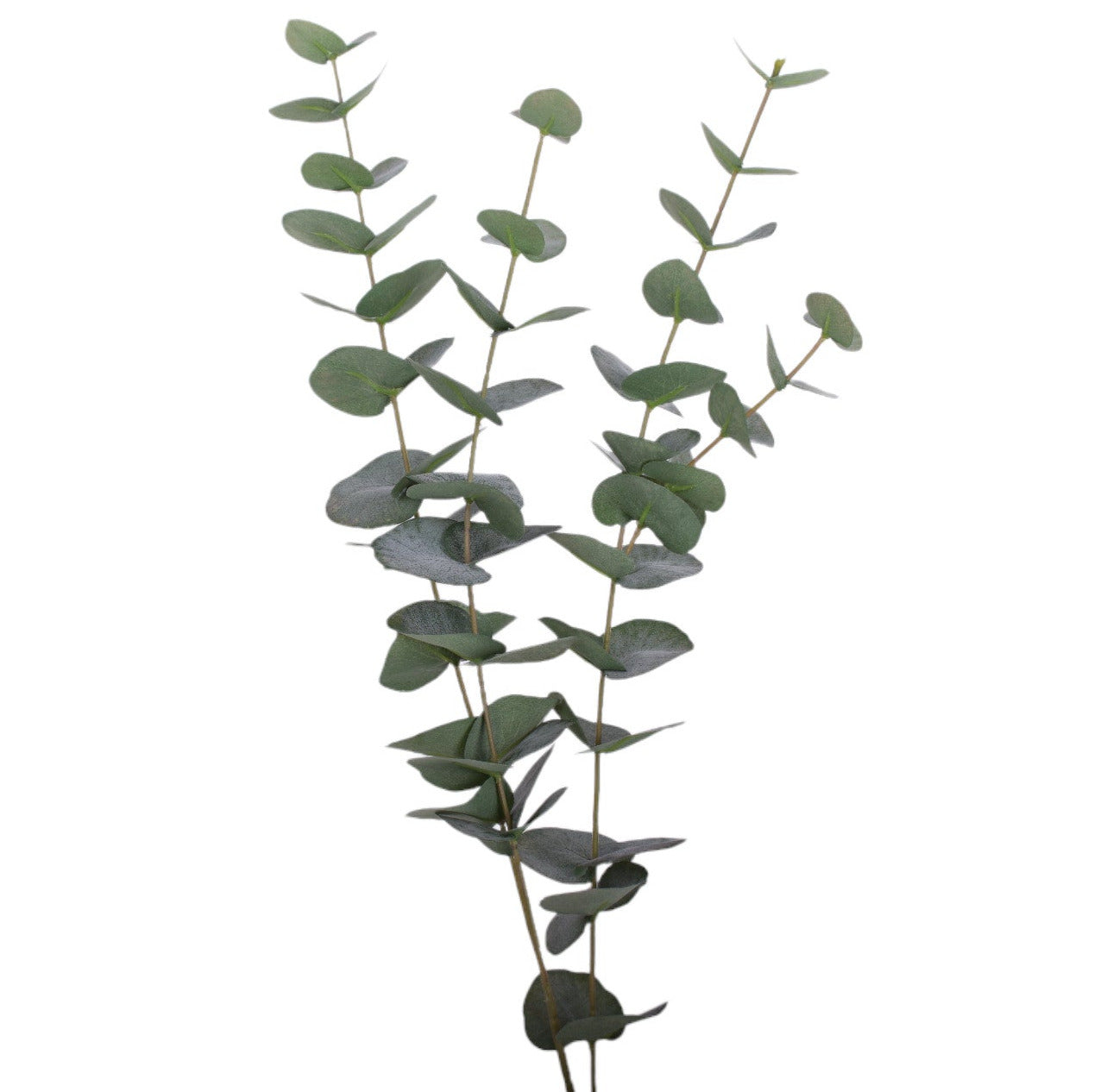 22" Eucalyptus Stem-UV Protected ST1167UV