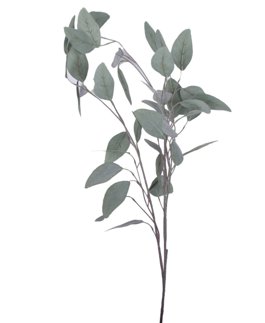 36" Eucalyptus Stem-UV Protected ST1168UV
