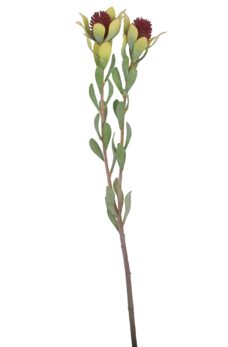22" Thistle Stem-UV Protected ST1172UV