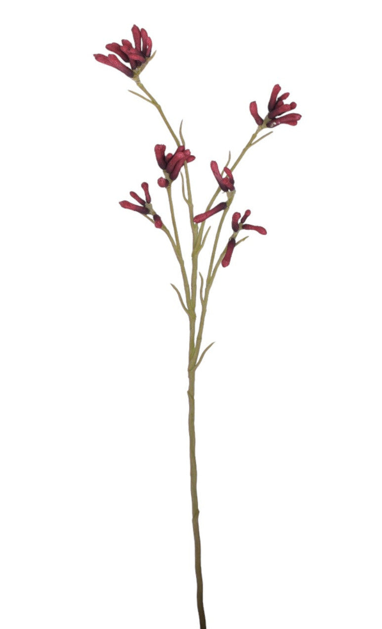 26" Red Kangaroo Paw Stem ST1179