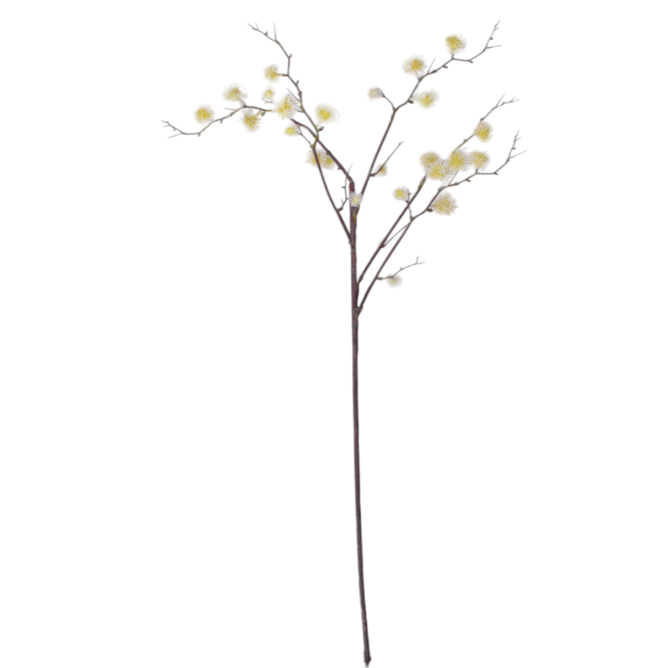 40" Mimosa Branch ST1181