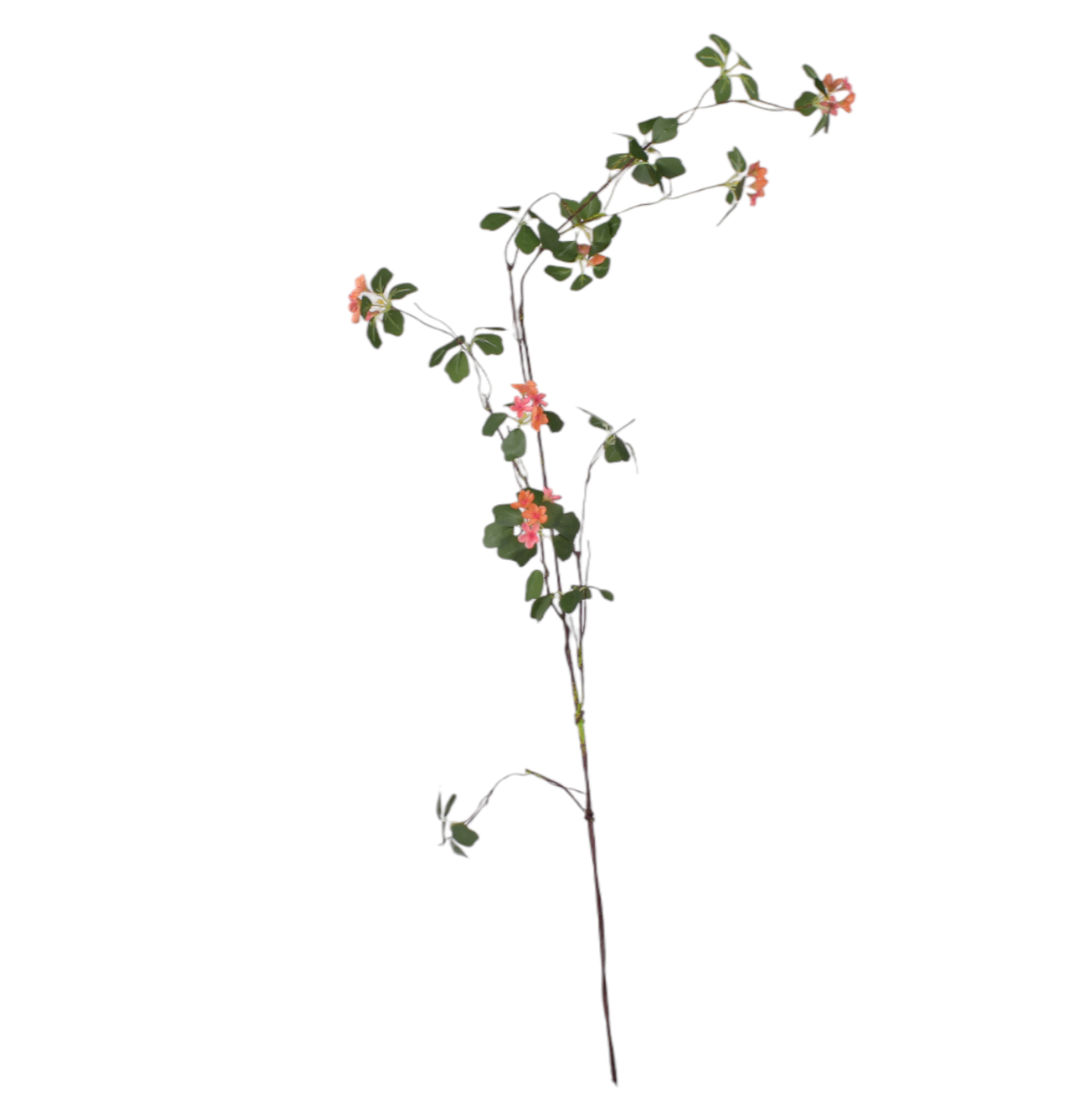 47" Orange Pear Blossom ST1182