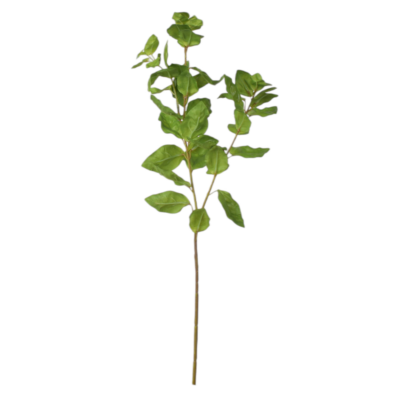 24.5" Green Leaf Branch ST1184