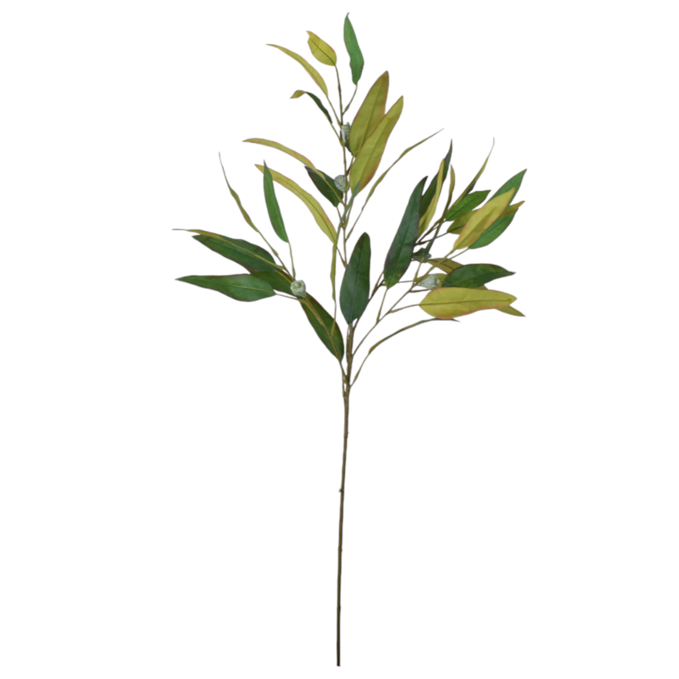 29.5" Eucalyptus Branch ST1186