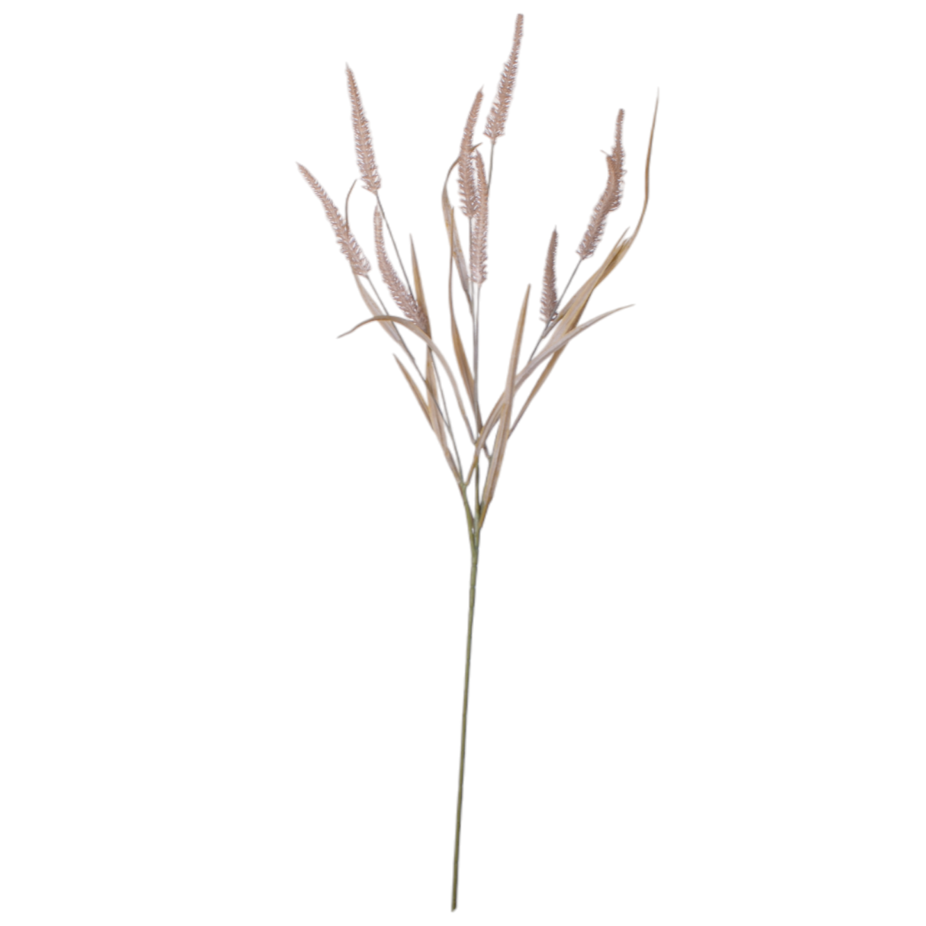 34” Brown Foxtail Stem-9 Heads ST1188